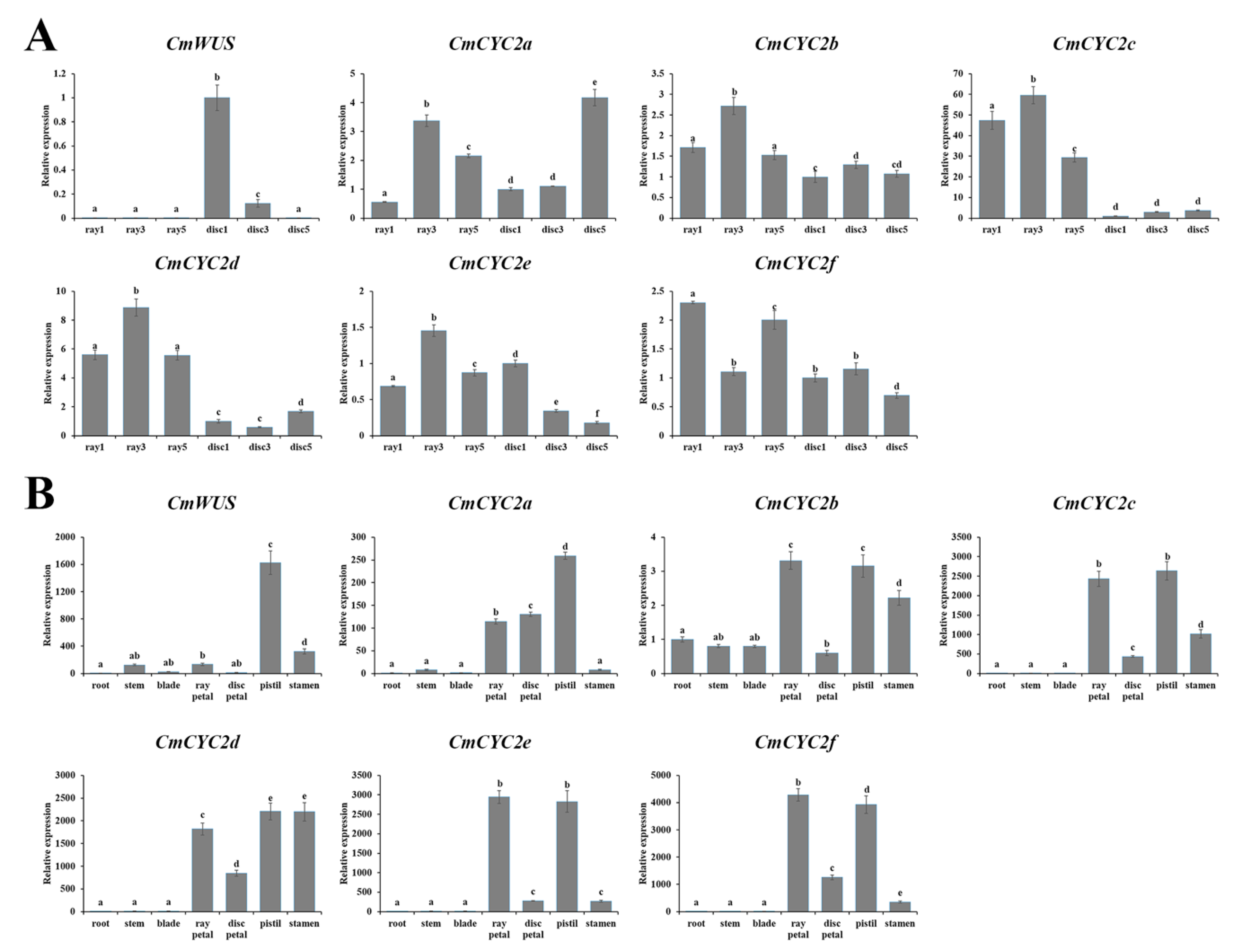 Ijms 20 01276 g004 Ijms 20 01276 g004
