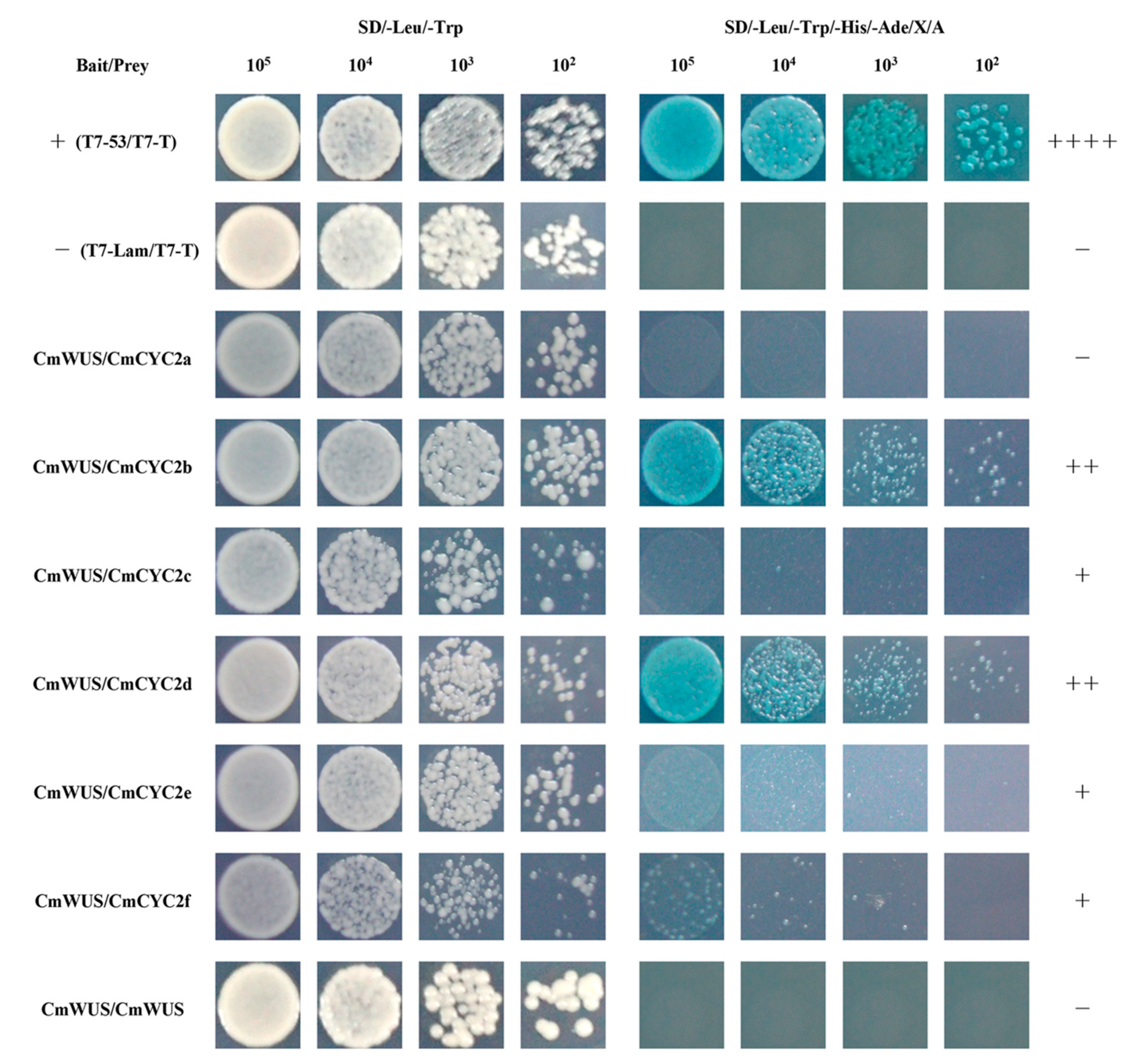 Ijms 20 01276 g006 Ijms 20 01276 g006