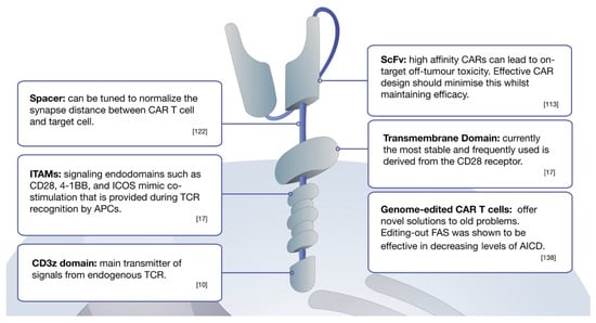 Cell-based mechanisms and strategies of co-culture system both in