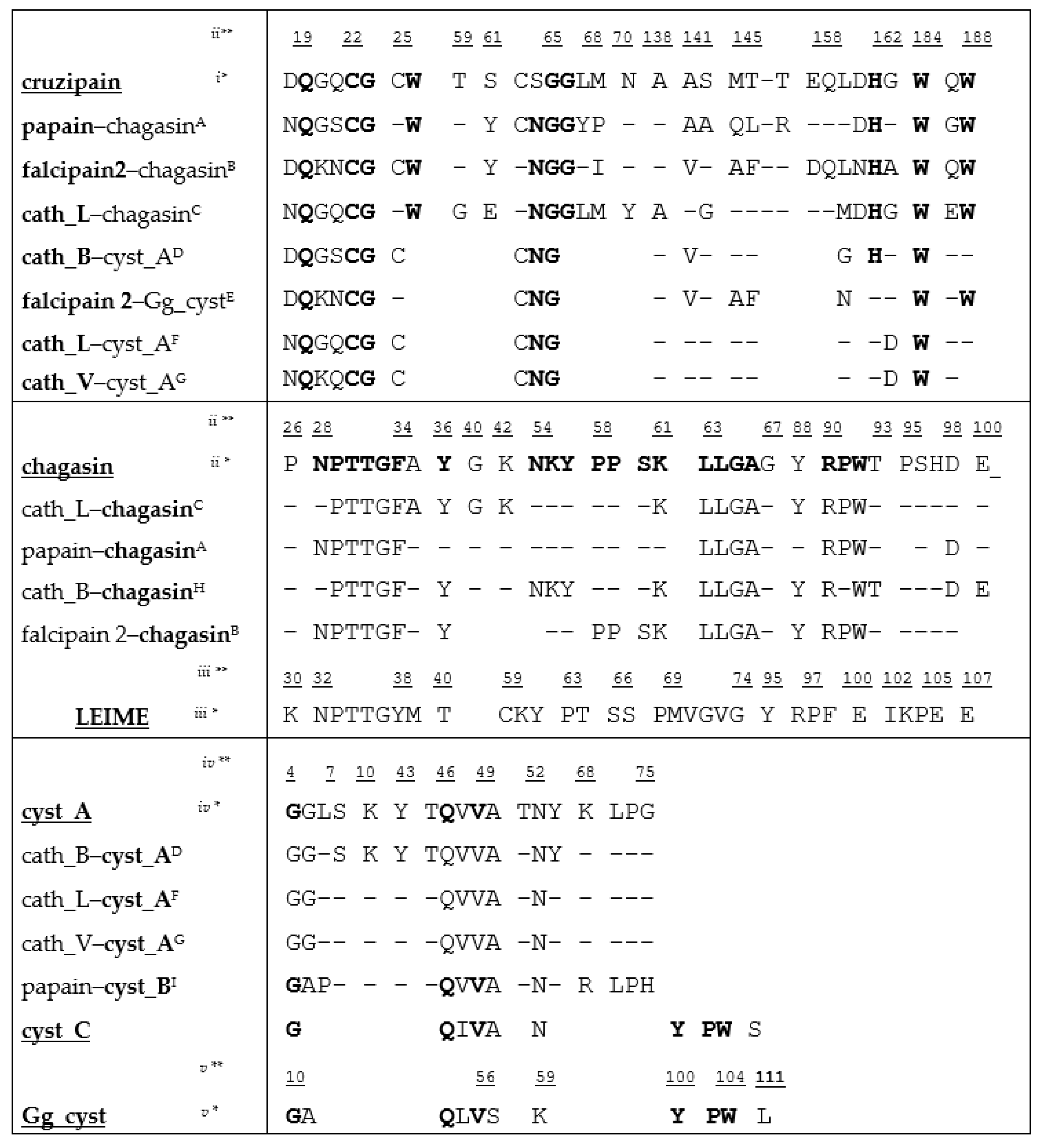 Ijms Free Full Text In Silico Analysis Of Homologous Heterodimers Of Cruzipain Chagasin From Structural Models Built By Homology Html