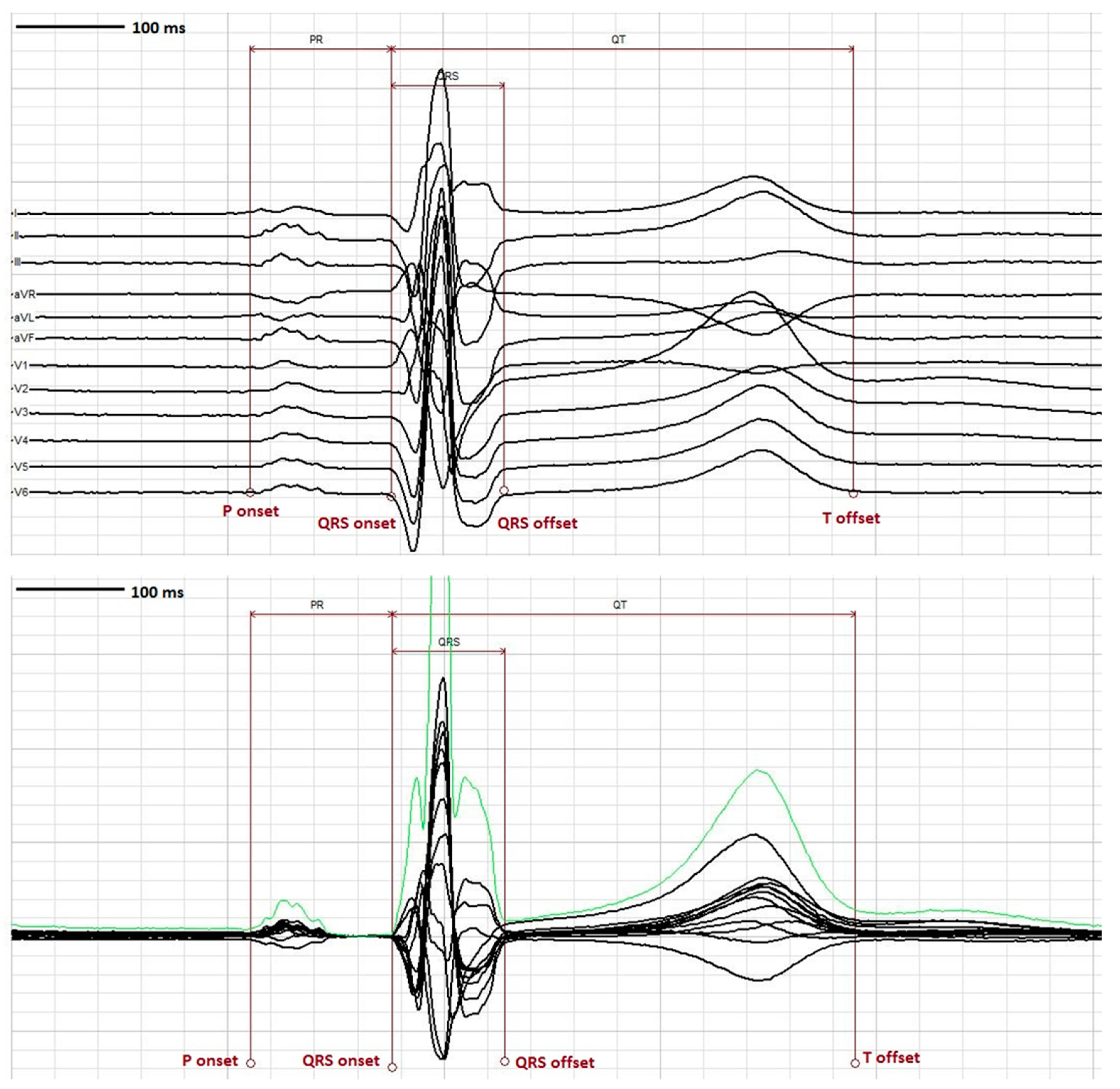 Ijms 20 01324 g005 Ijms 20 01324 g005