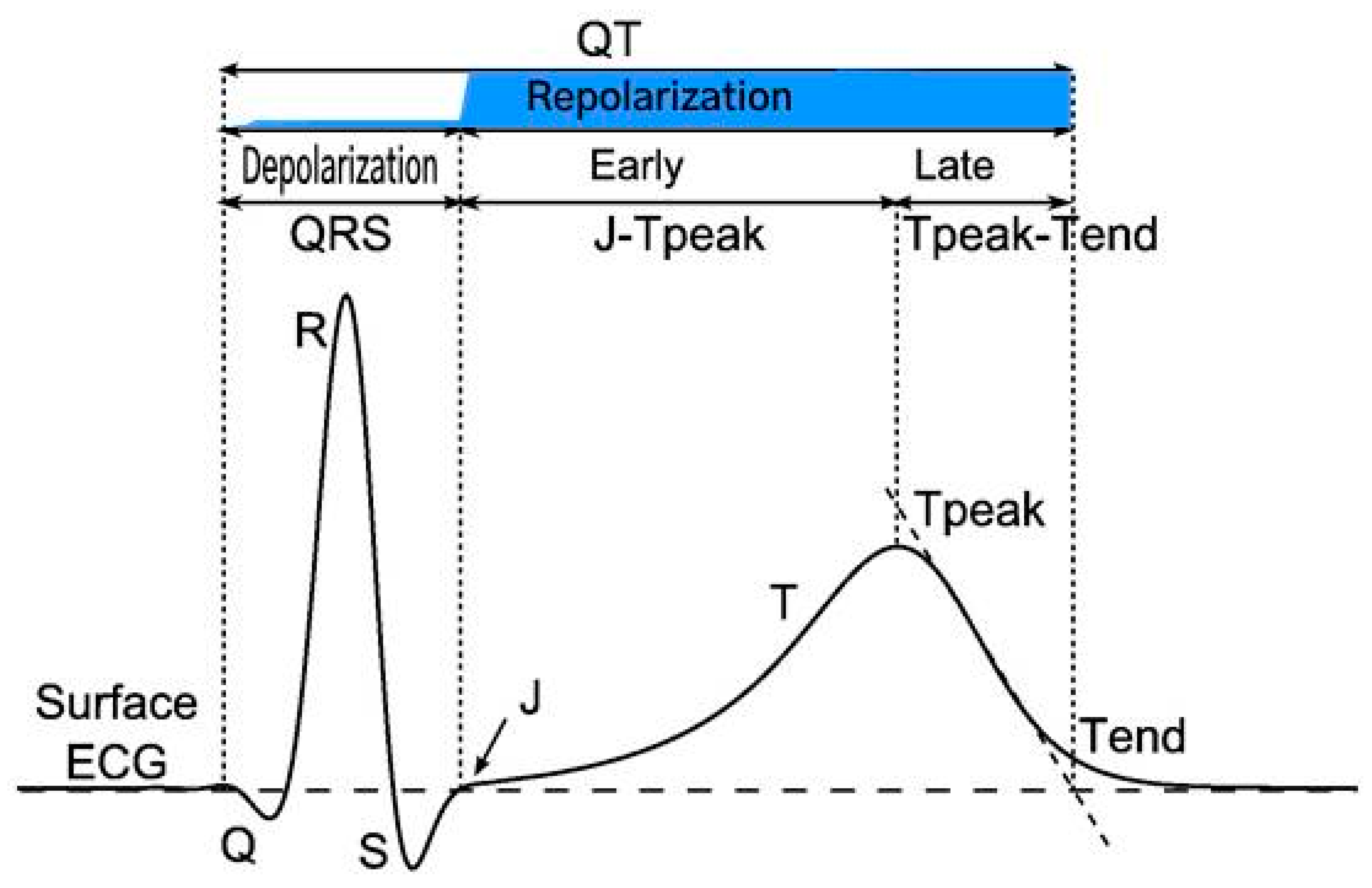 Ijms 20 01324 g007 Ijms 20 01324 g007
