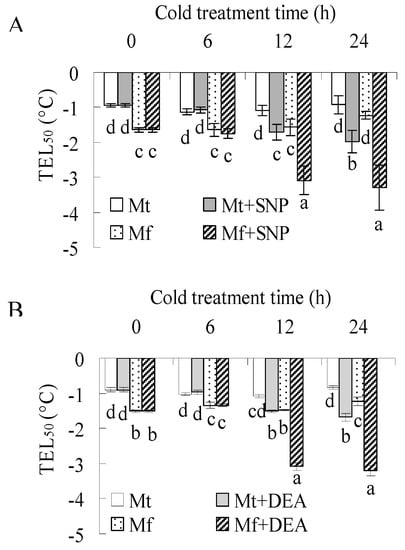 Ijms Free Full Text Comparative Physiological Analysis Reveals The Role Of Nr Derived Nitric Oxide In The Cold Tolerance Of Forage Legumes Html