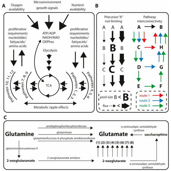 1H NMR Metabolomics Reveals Association of High Expression of Inositol 1,  4, 5 Trisphosphate Receptor and Metabolites in Breast Cancer Patients