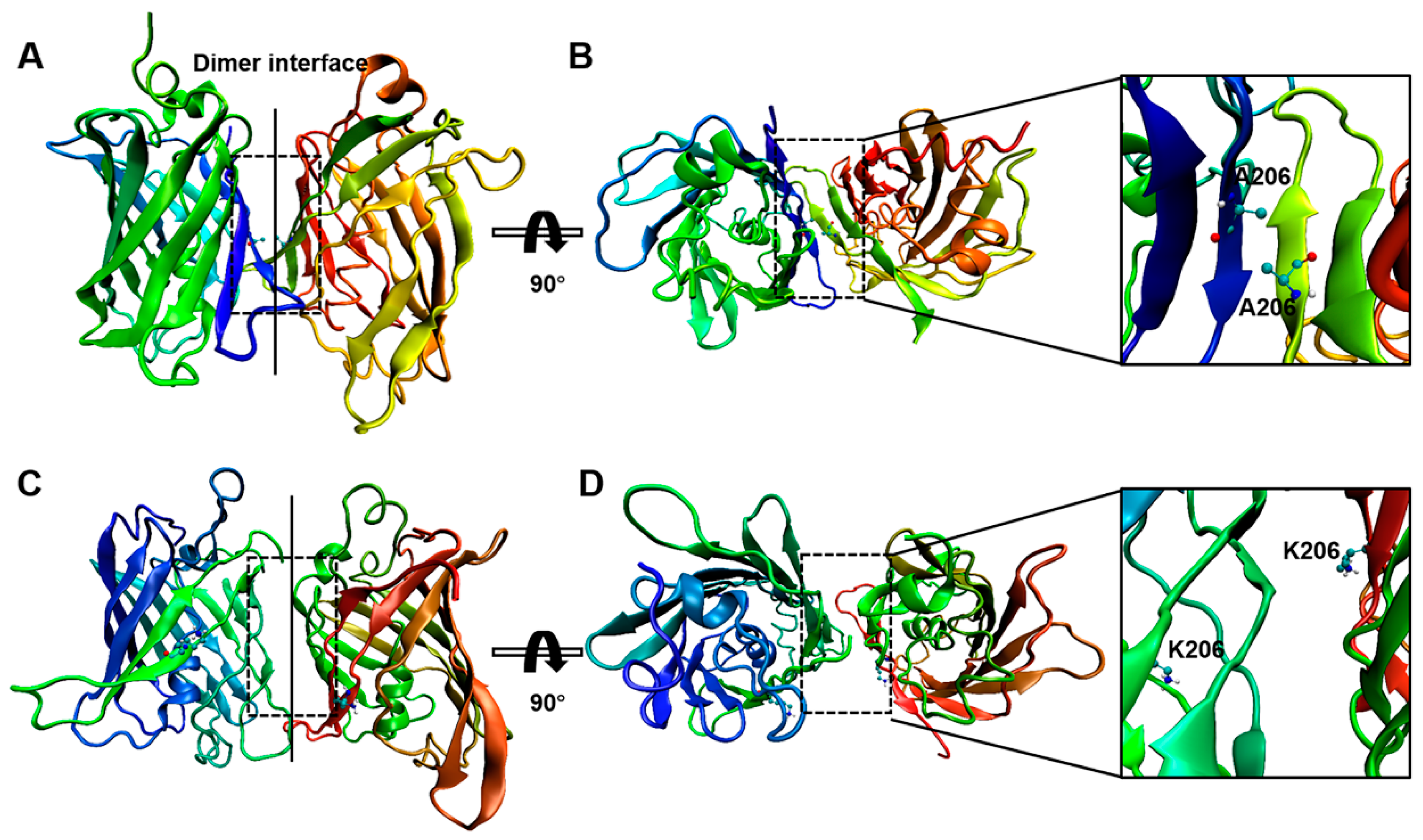 Ijms 20 01410 g002 Ijms 20 01410 g002