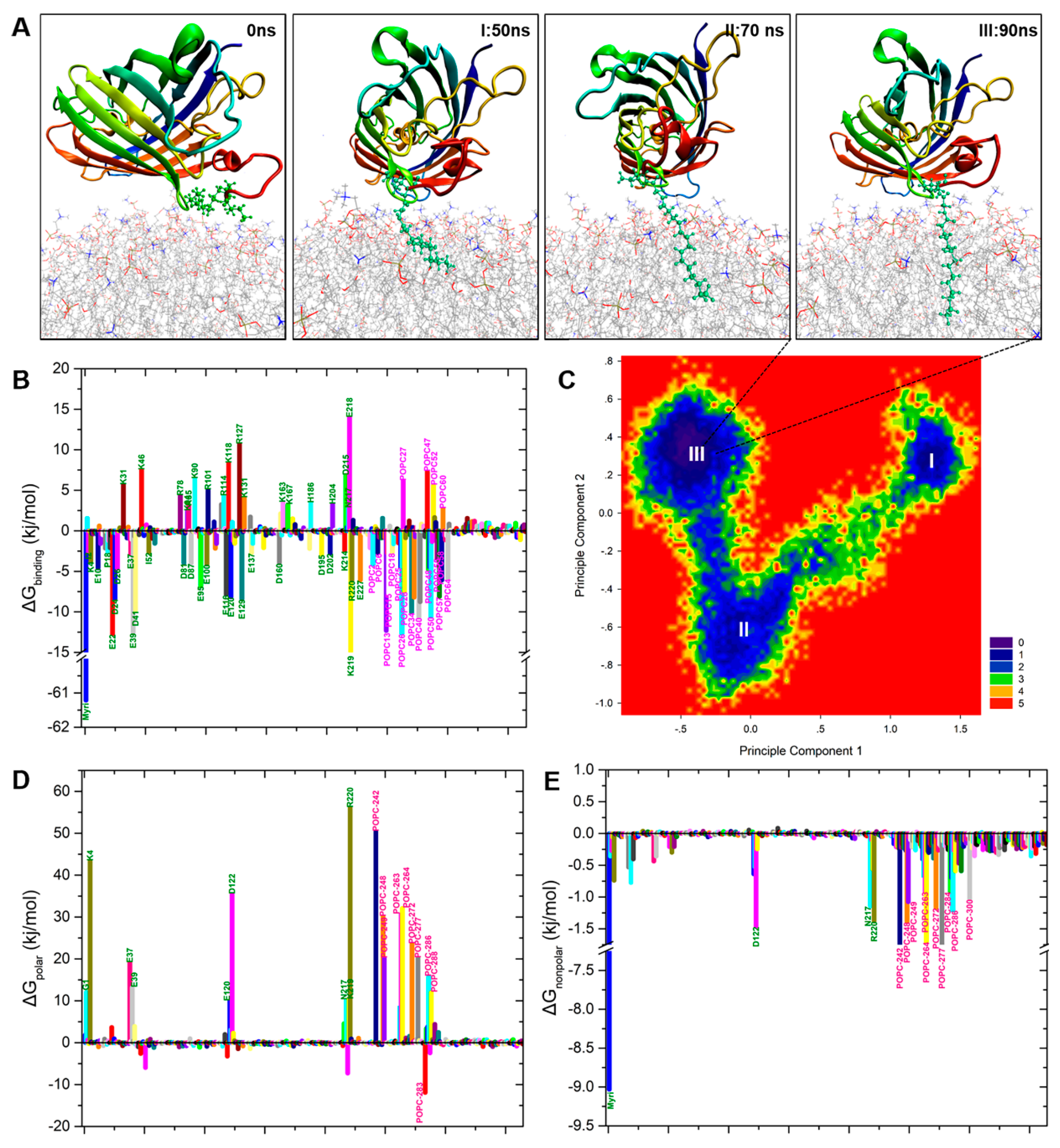 Ijms 20 01410 g004 Ijms 20 01410 g004