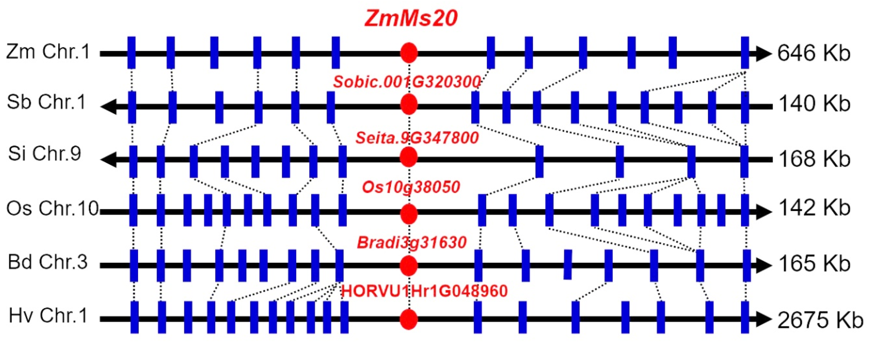 Ijms 20 01411 g004 Ijms 20 01411 g004