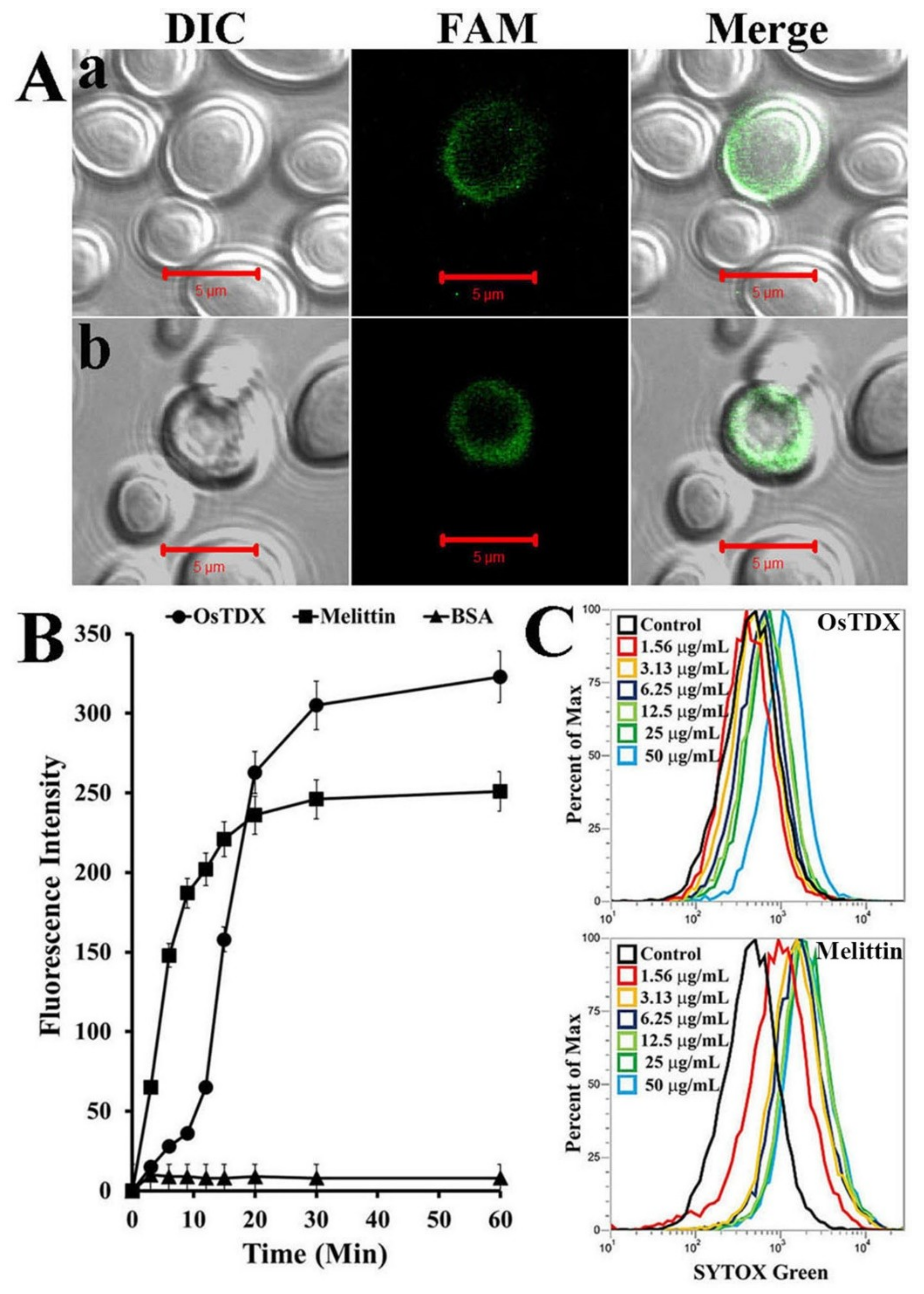 Ijms 20 01413 g004