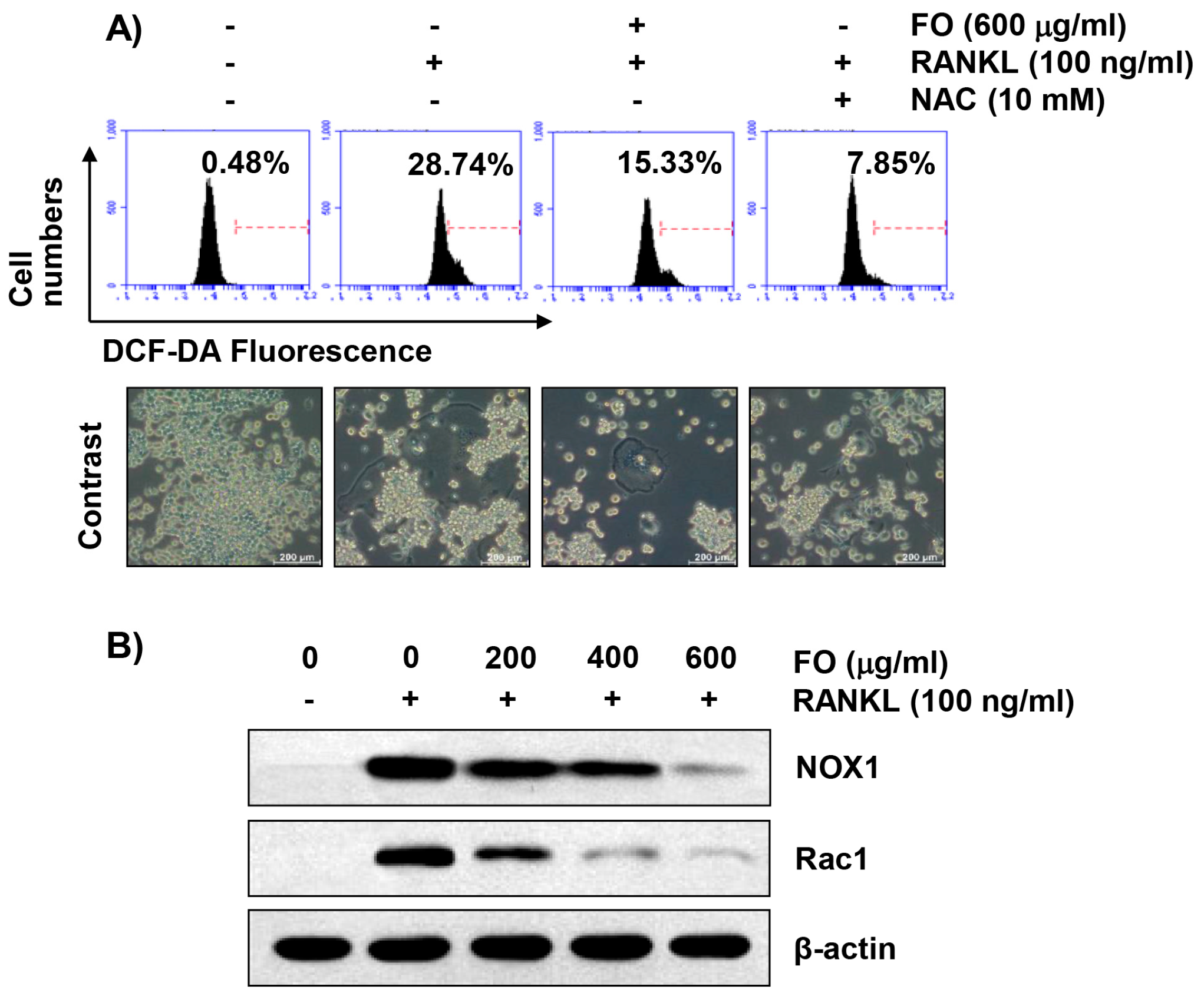 Ijms 20 01439 g006 Ijms 20 01439 g006