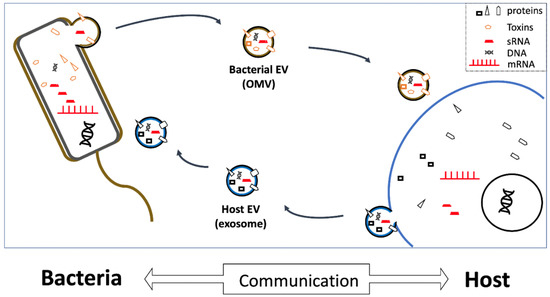 Ijms Free Full Text Microbe Host Communication By Small Rnas In Extracellular Vesicles Vehicles For Transkingdom Rna Transportation Html