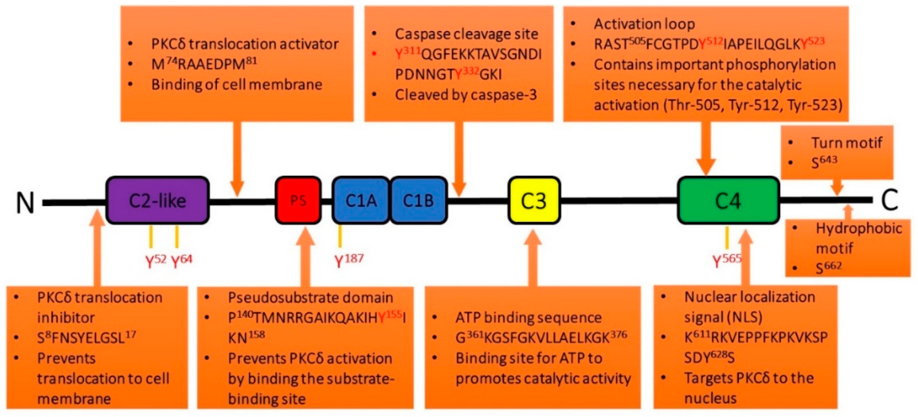 Ijms 20 01498 g003 Ijms 20 01498 g003