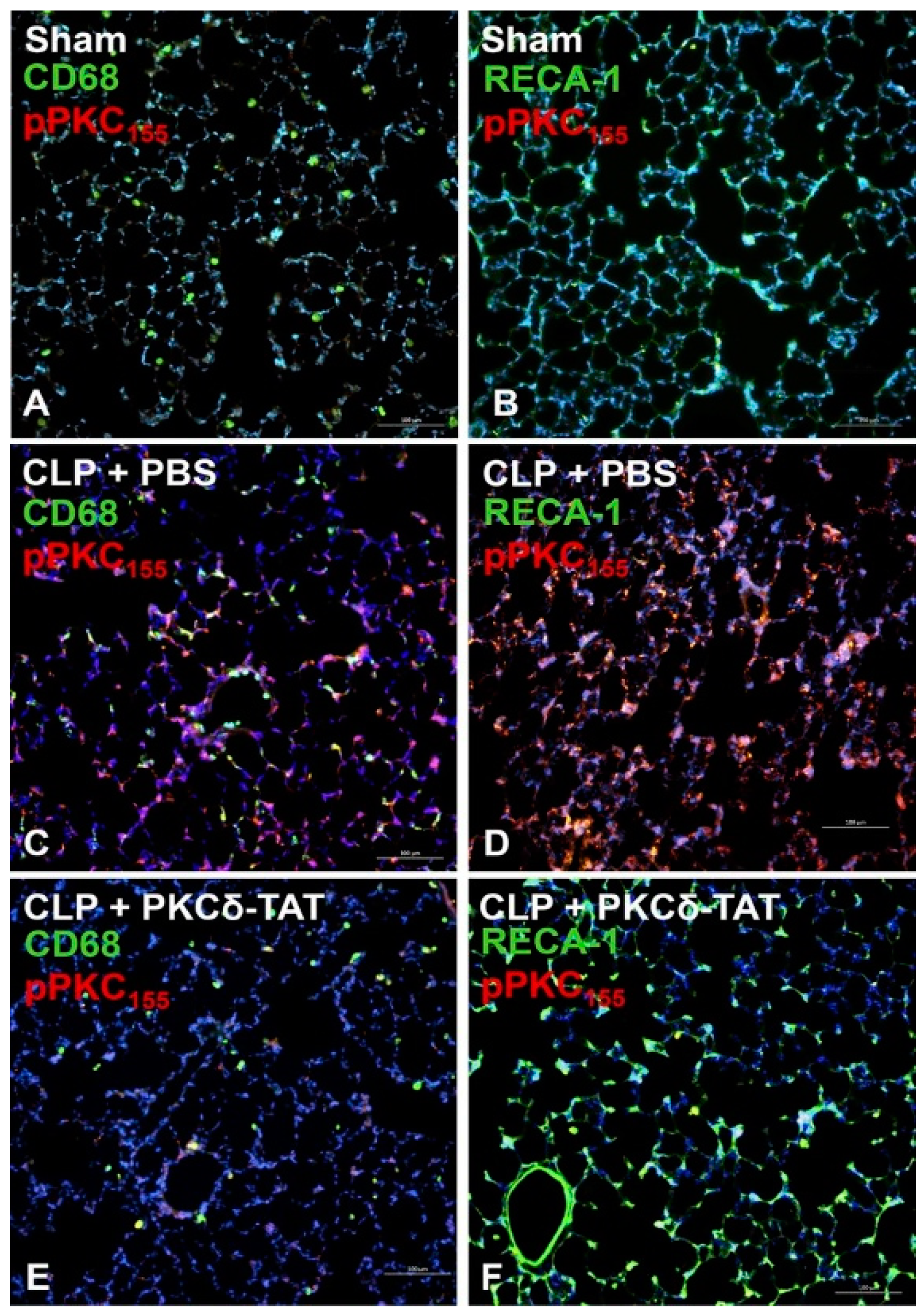 Ijms 20 01498 g005 Ijms 20 01498 g005