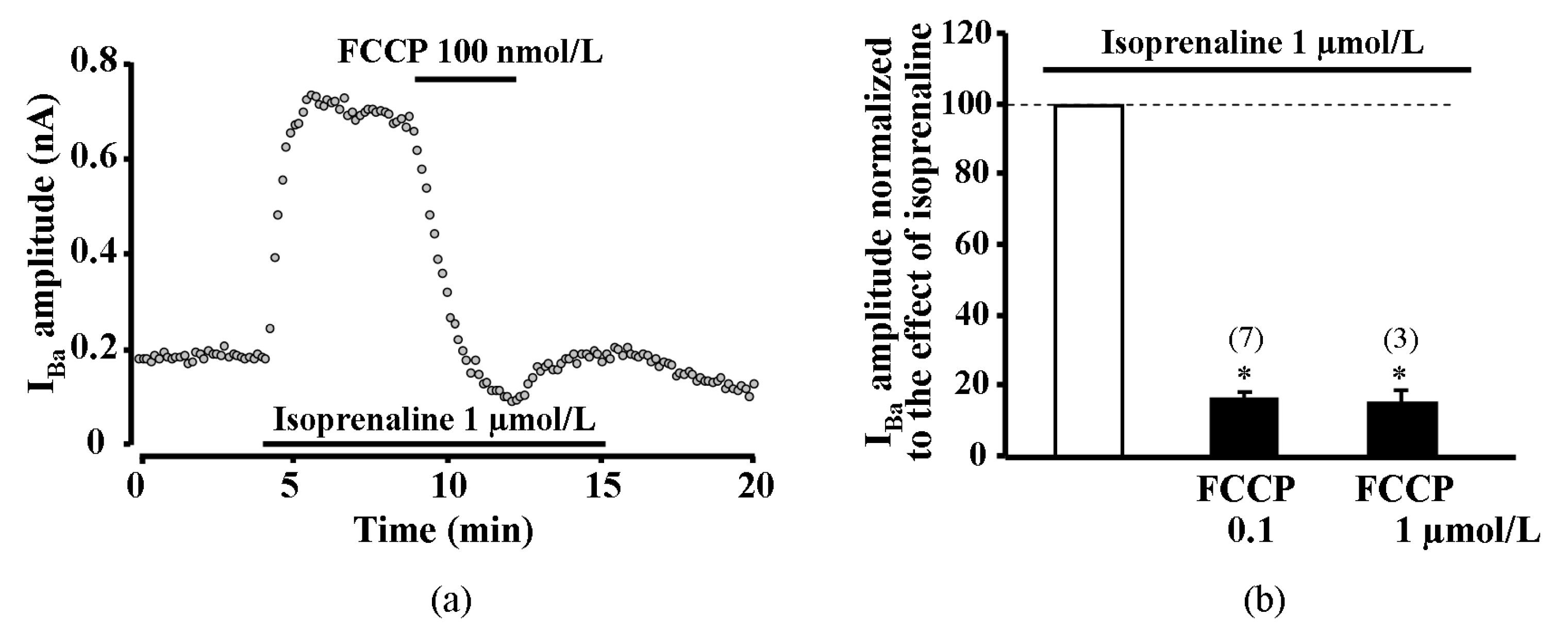 Ijms 20 01501 g005 Ijms 20 01501 g005