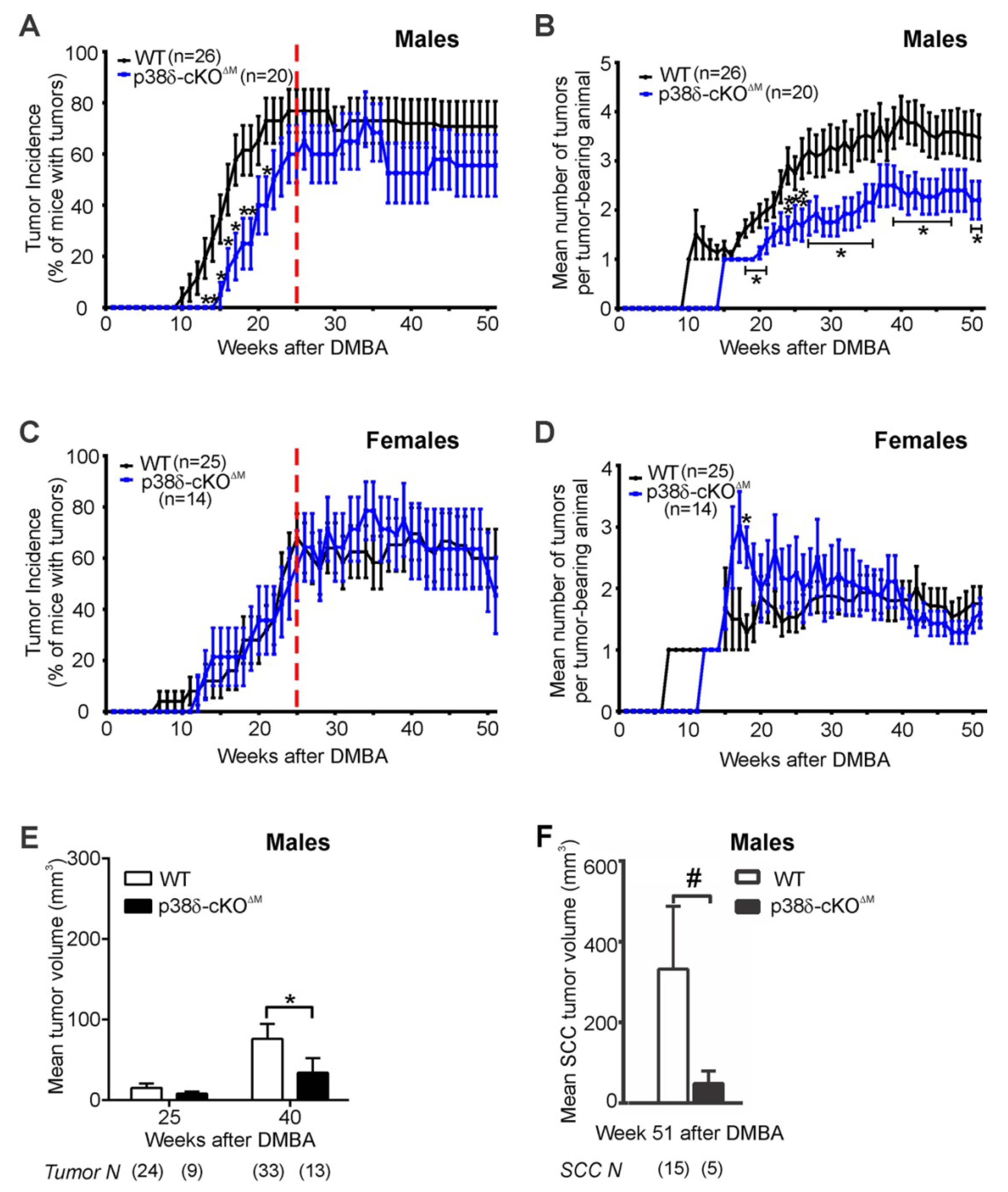 Ijms 20 01532 g003 Ijms 20 01532 g003