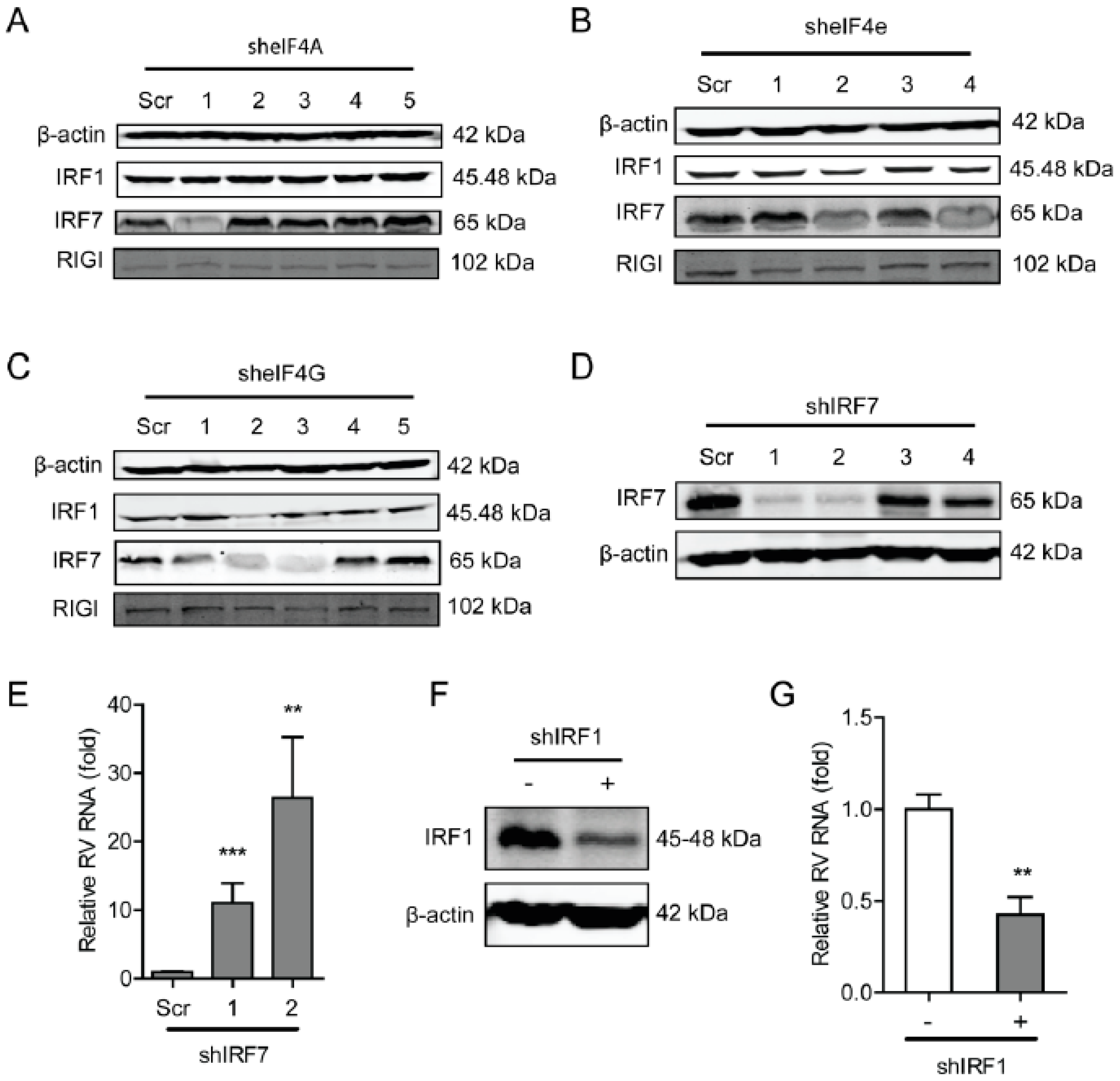 Ijms 20 01580 g006 Ijms 20 01580 g006