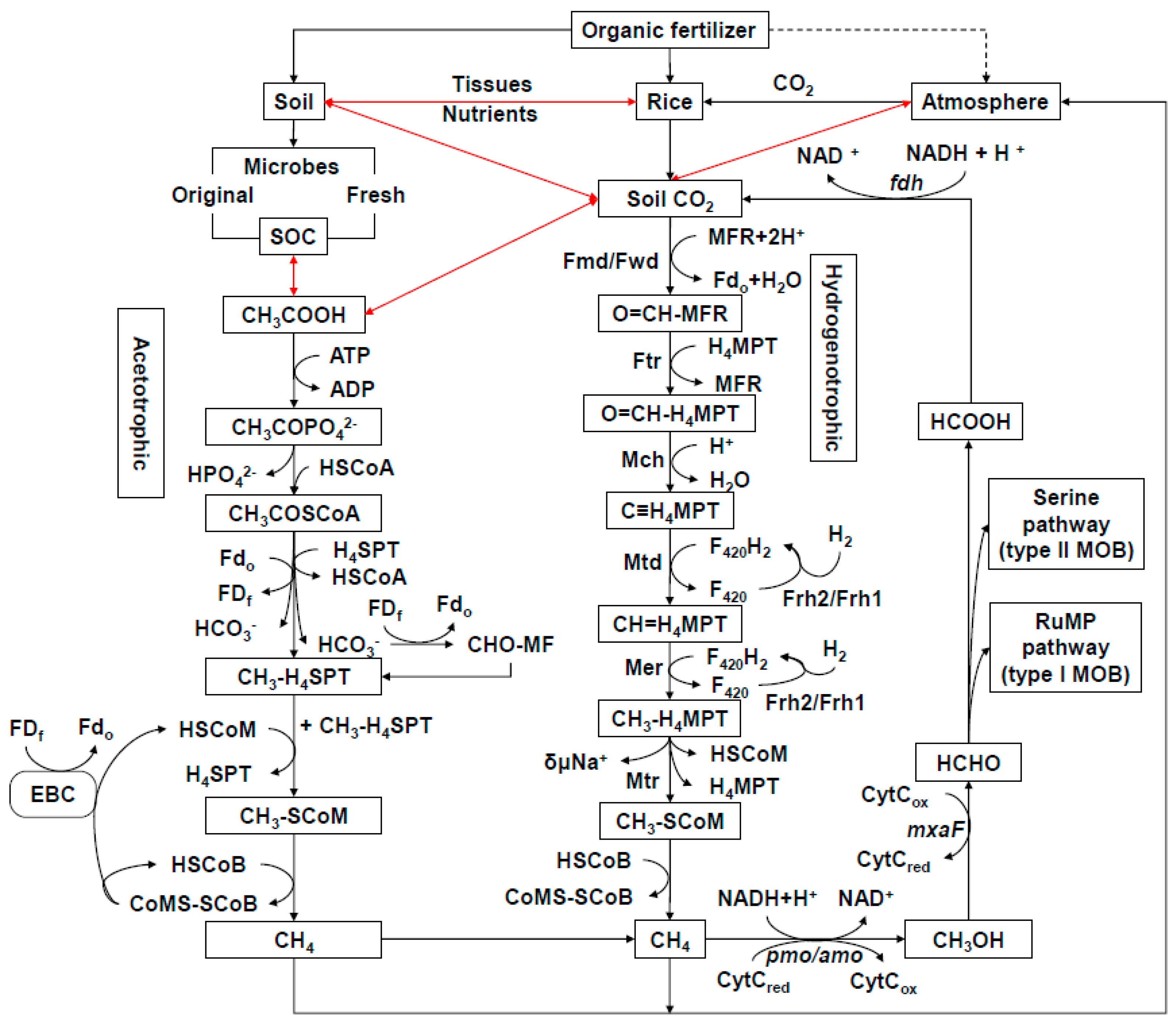 Ijms 20 01586 g001 Ijms 20 01586 g001