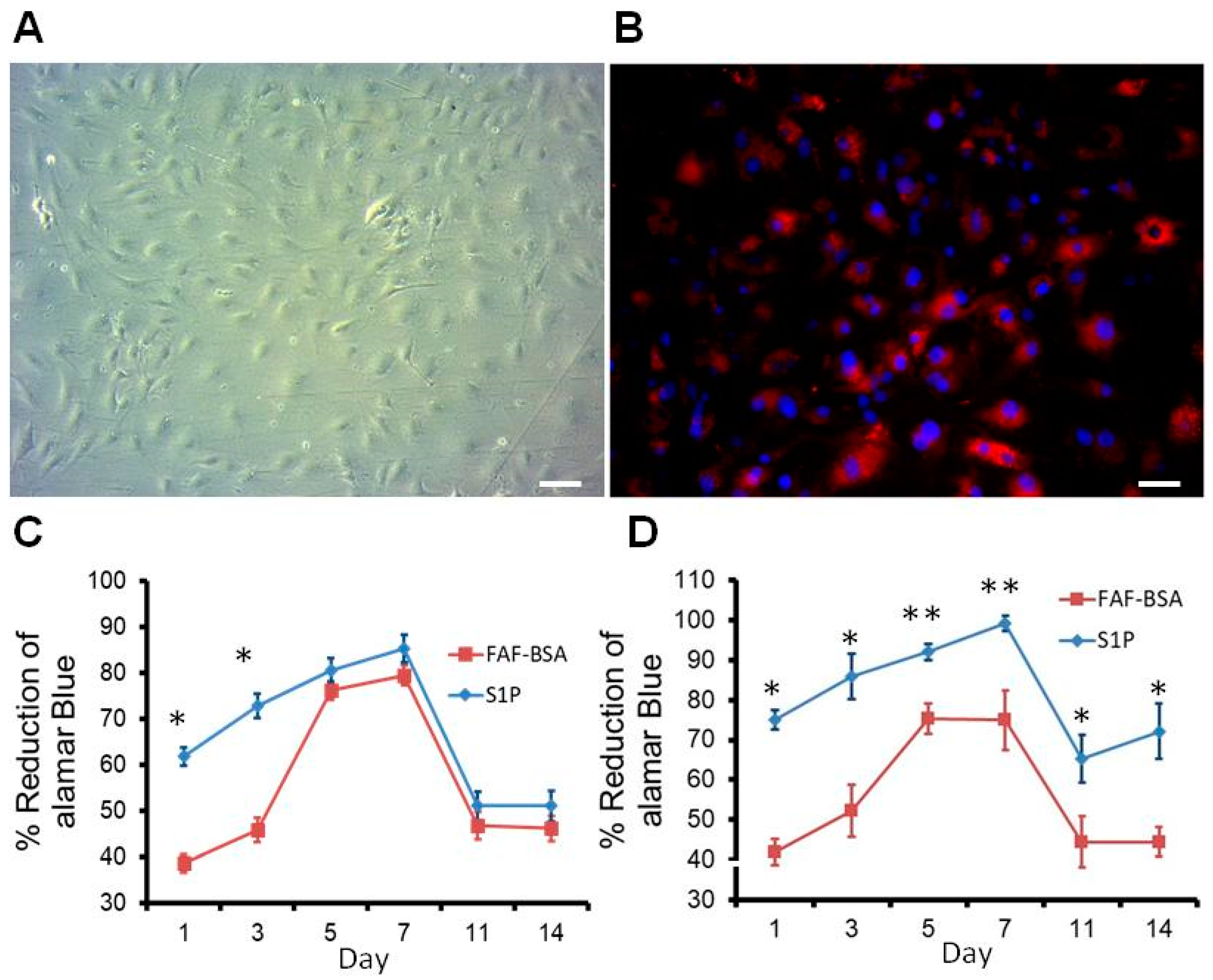 Ijms 20 01641 g002 Ijms 20 01641 g002