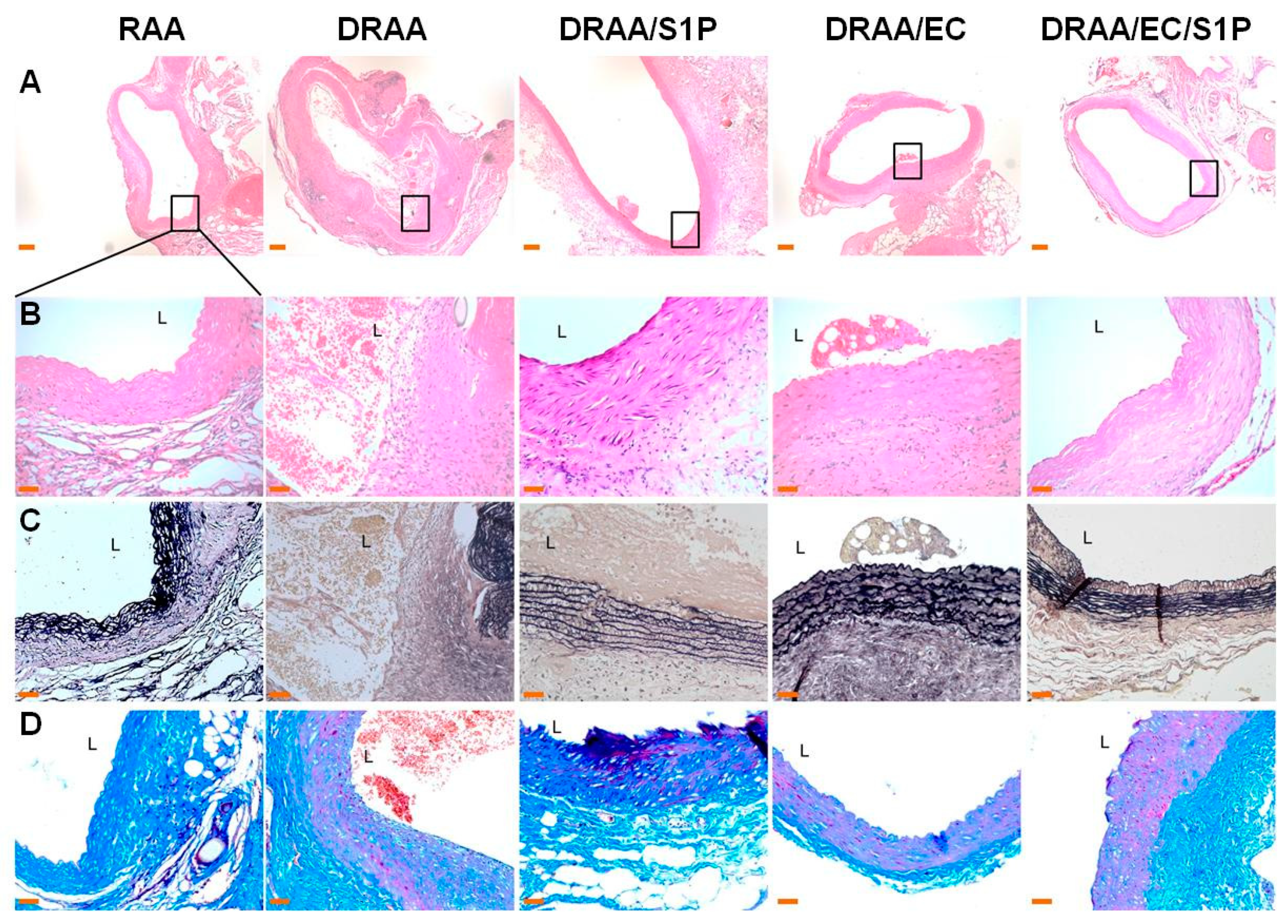 Ijms 20 01641 g005 Ijms 20 01641 g005