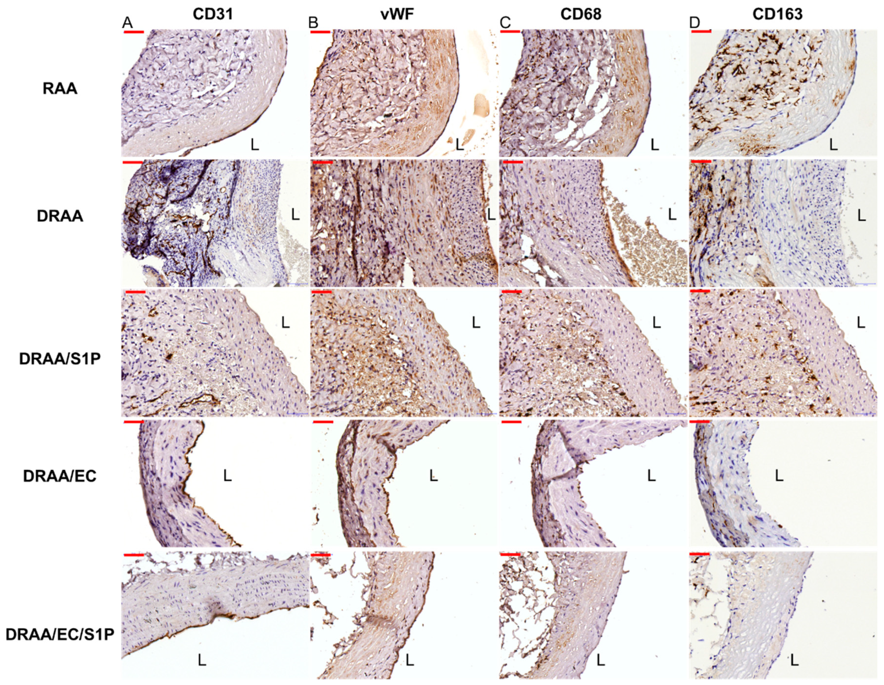 Ijms 20 01641 g006 Ijms 20 01641 g006