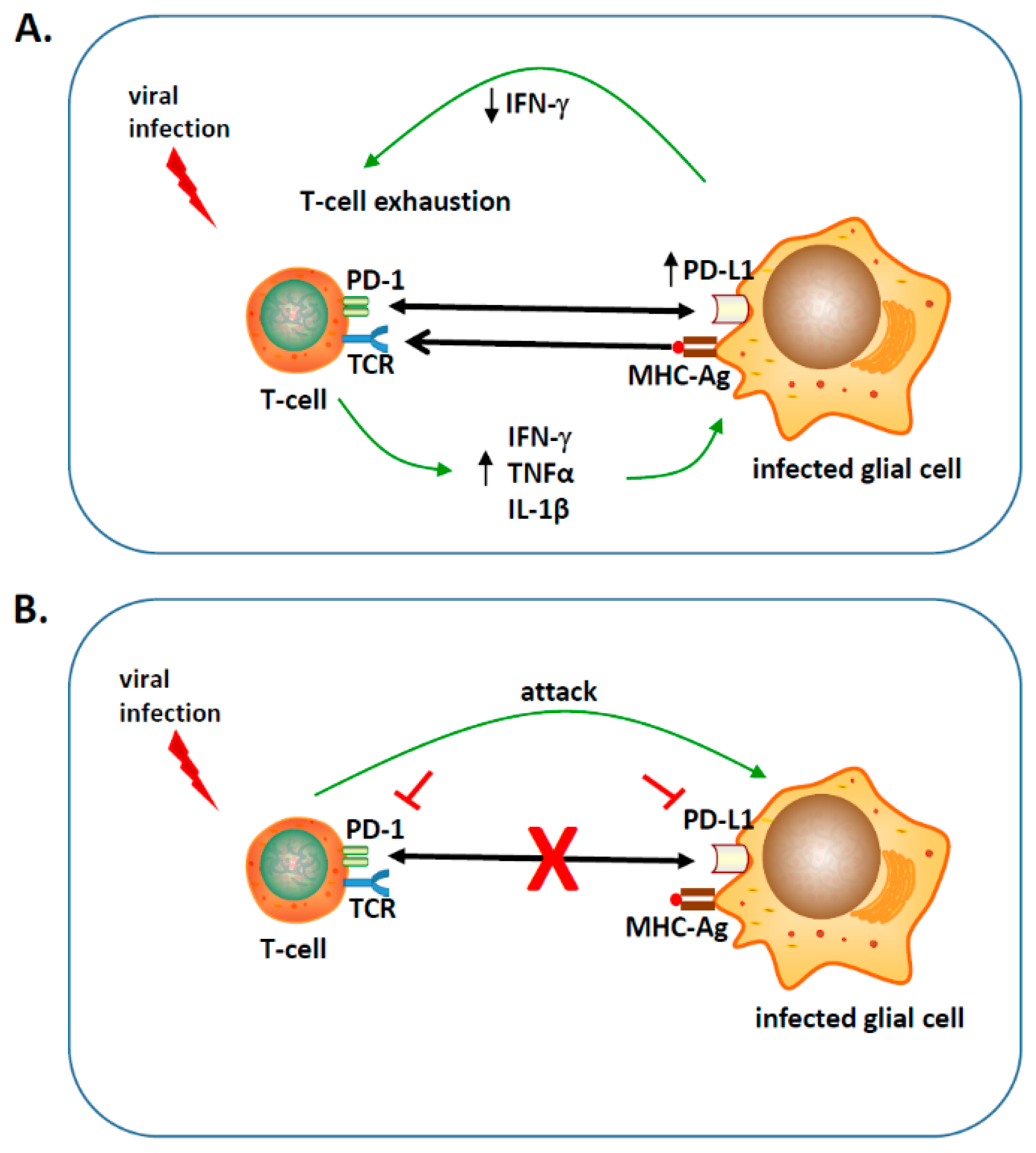 Ijms 20 01677 g001 Ijms 20 01677 g001