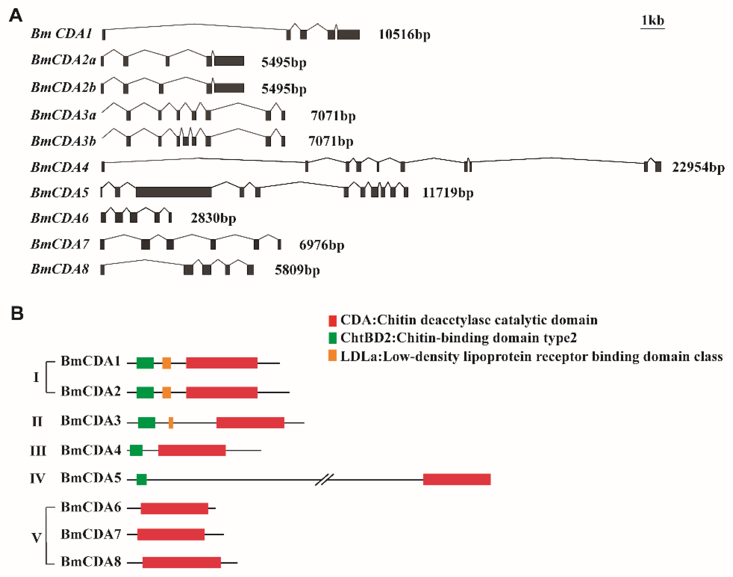 Ijms 20 01679 g001 Ijms 20 01679 g001
