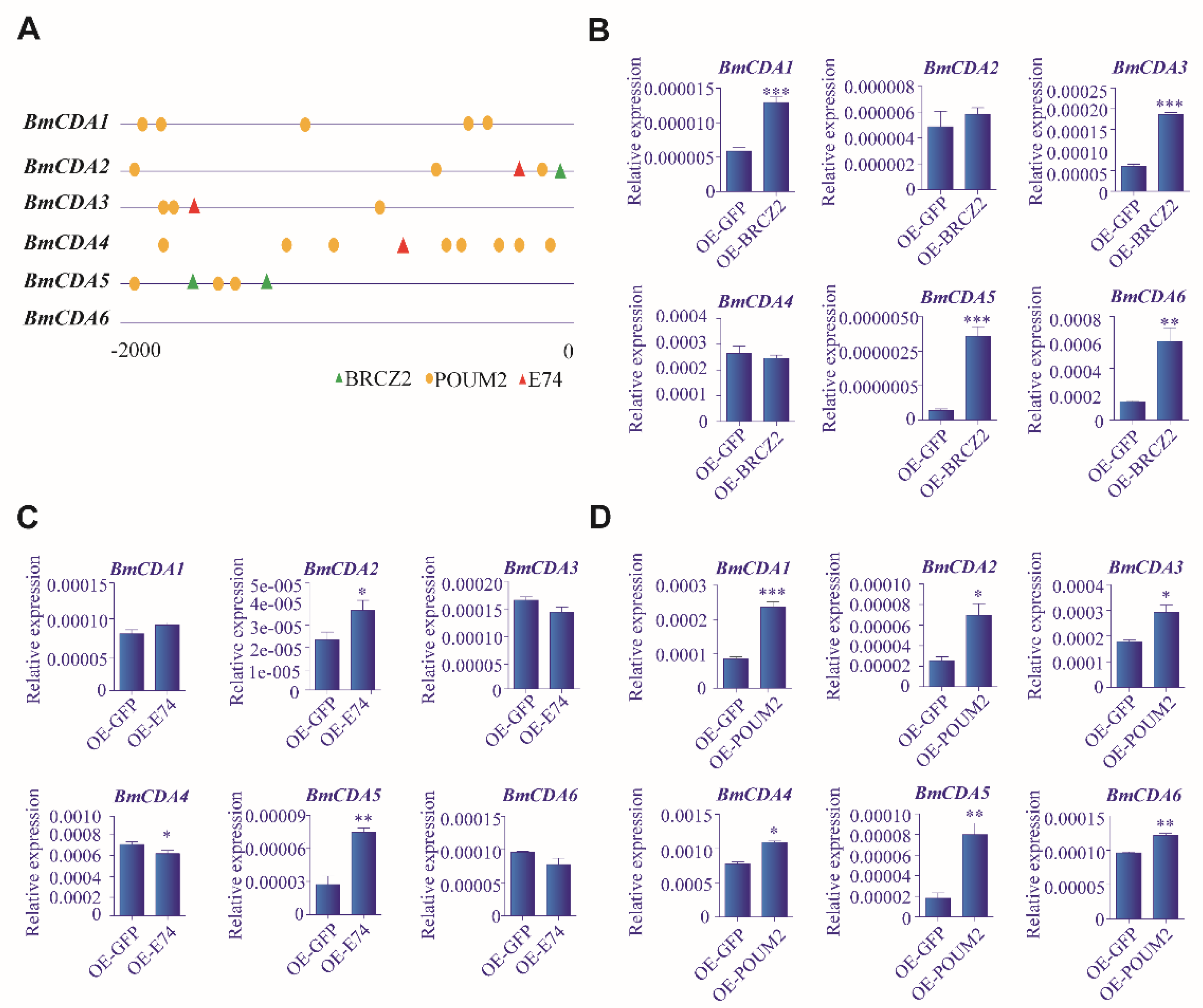 Ijms 20 01679 g007 Ijms 20 01679 g007