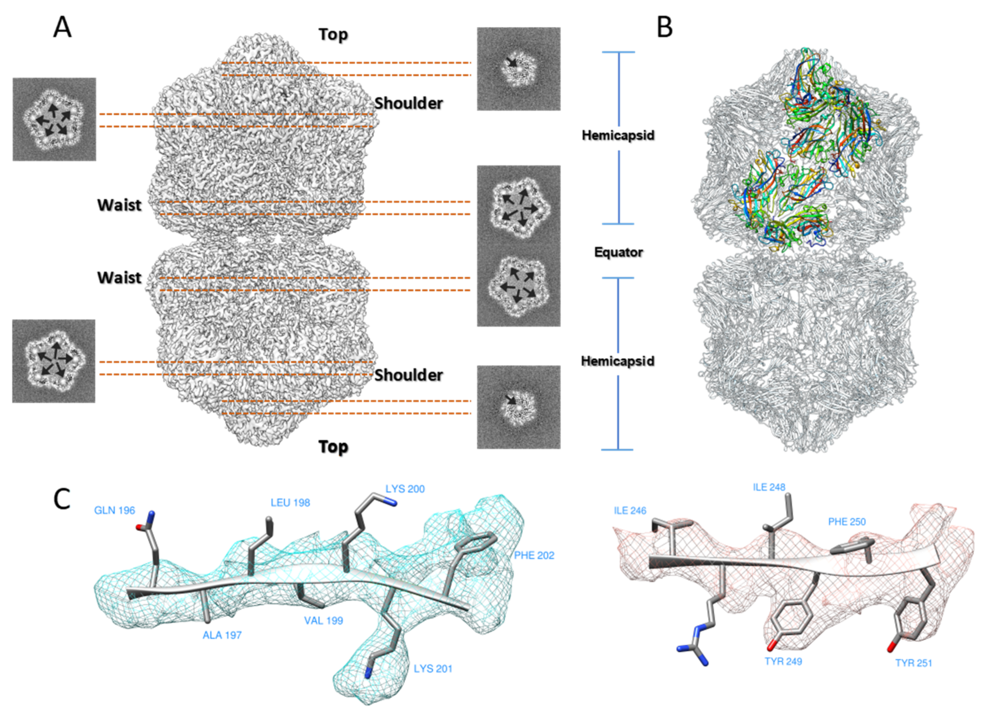 https://www.mdpi.com/ijms/ijms-20-01738/article_deploy/html/images/ijms-20-01738-g001.png