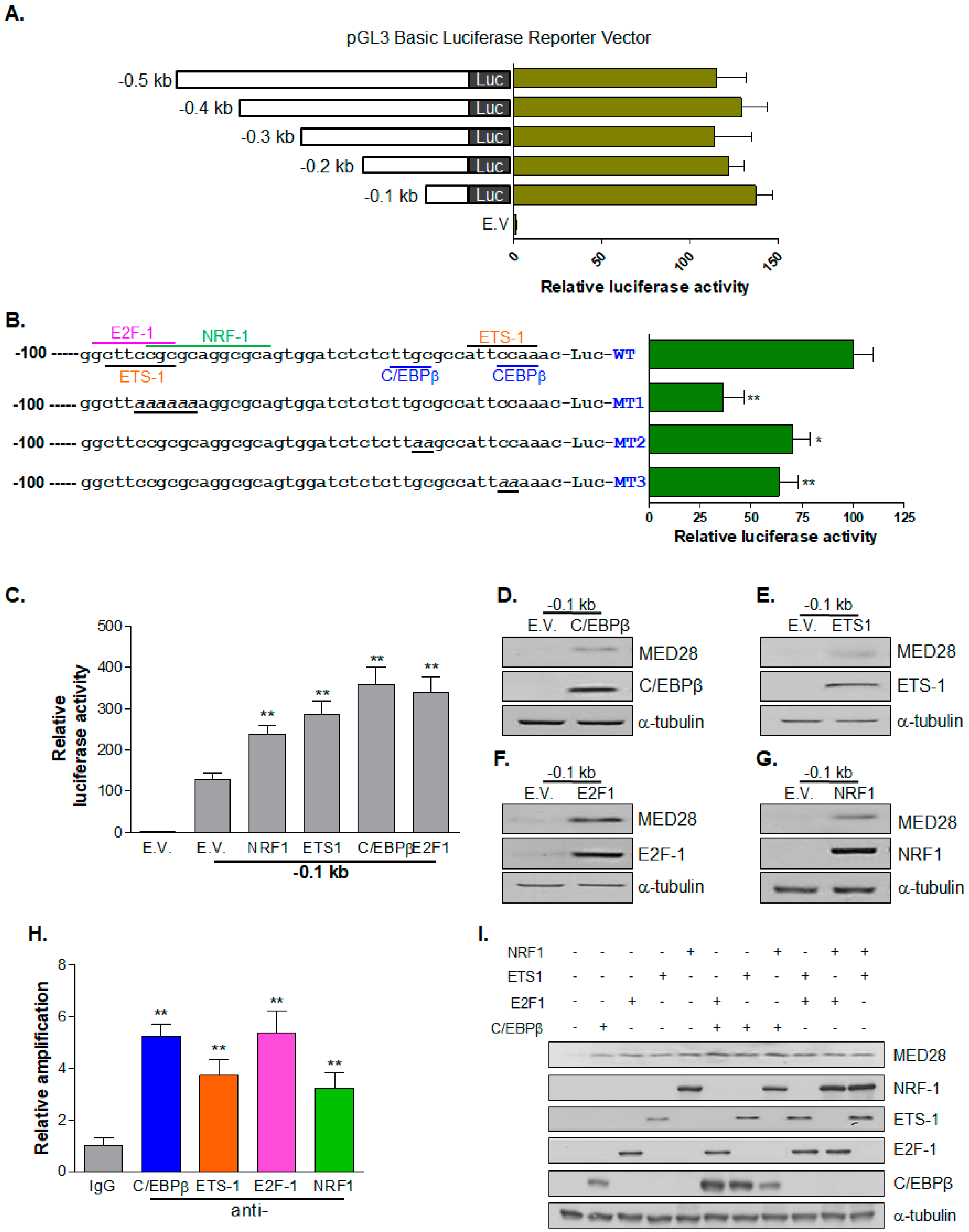 Ijms 20 01746 g001 Ijms 20 01746 g001