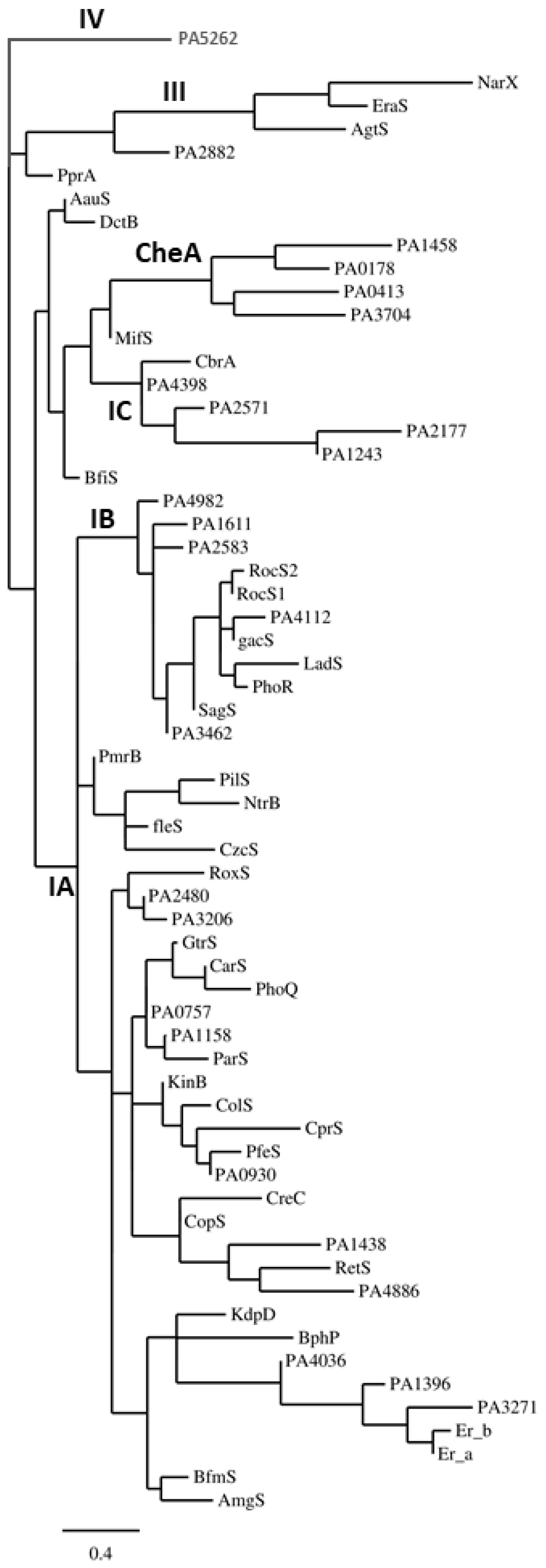 tcss-genetics-study-guide-answer-key-2nd-9-weeks-chapter-5-sections-1