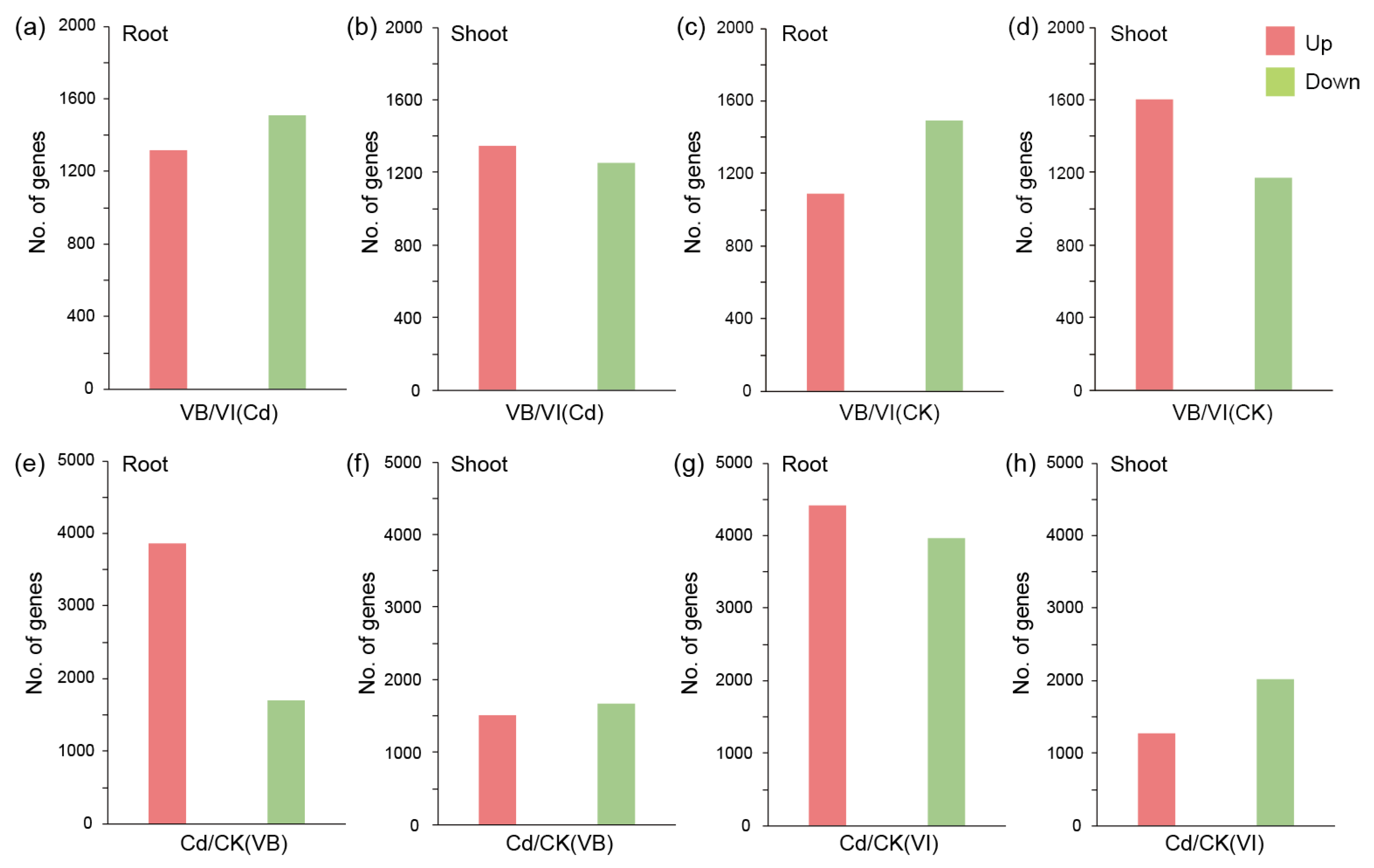 Ijms Free Full Text Comparative Transcriptomic Studies On A Cadmium Hyperaccumulator Viola Baoshanensis And Its Non Tolerant Counterpart V Inconspicua Html