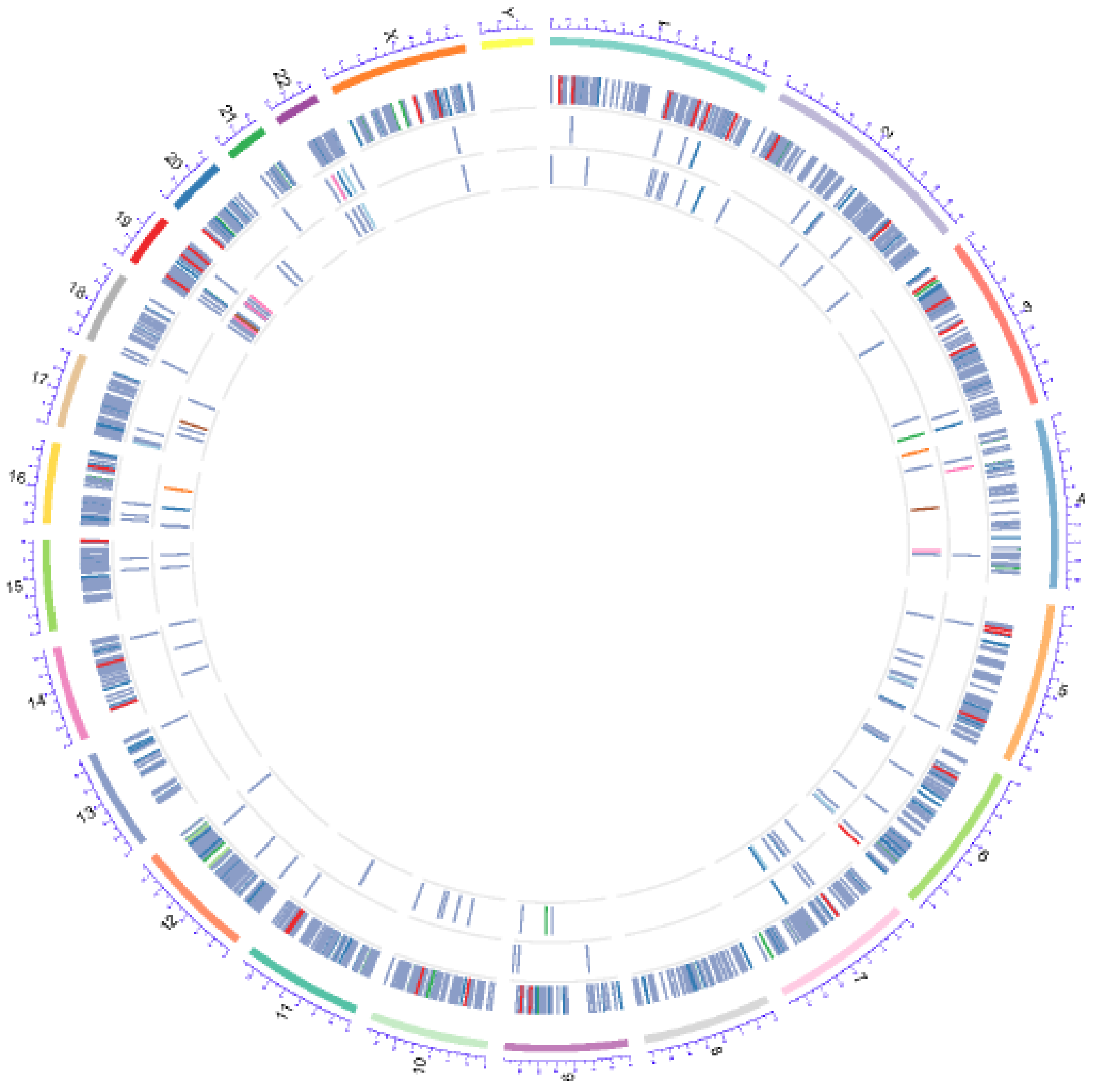 Ijms 20 01916 g002 Ijms 20 01916 g002