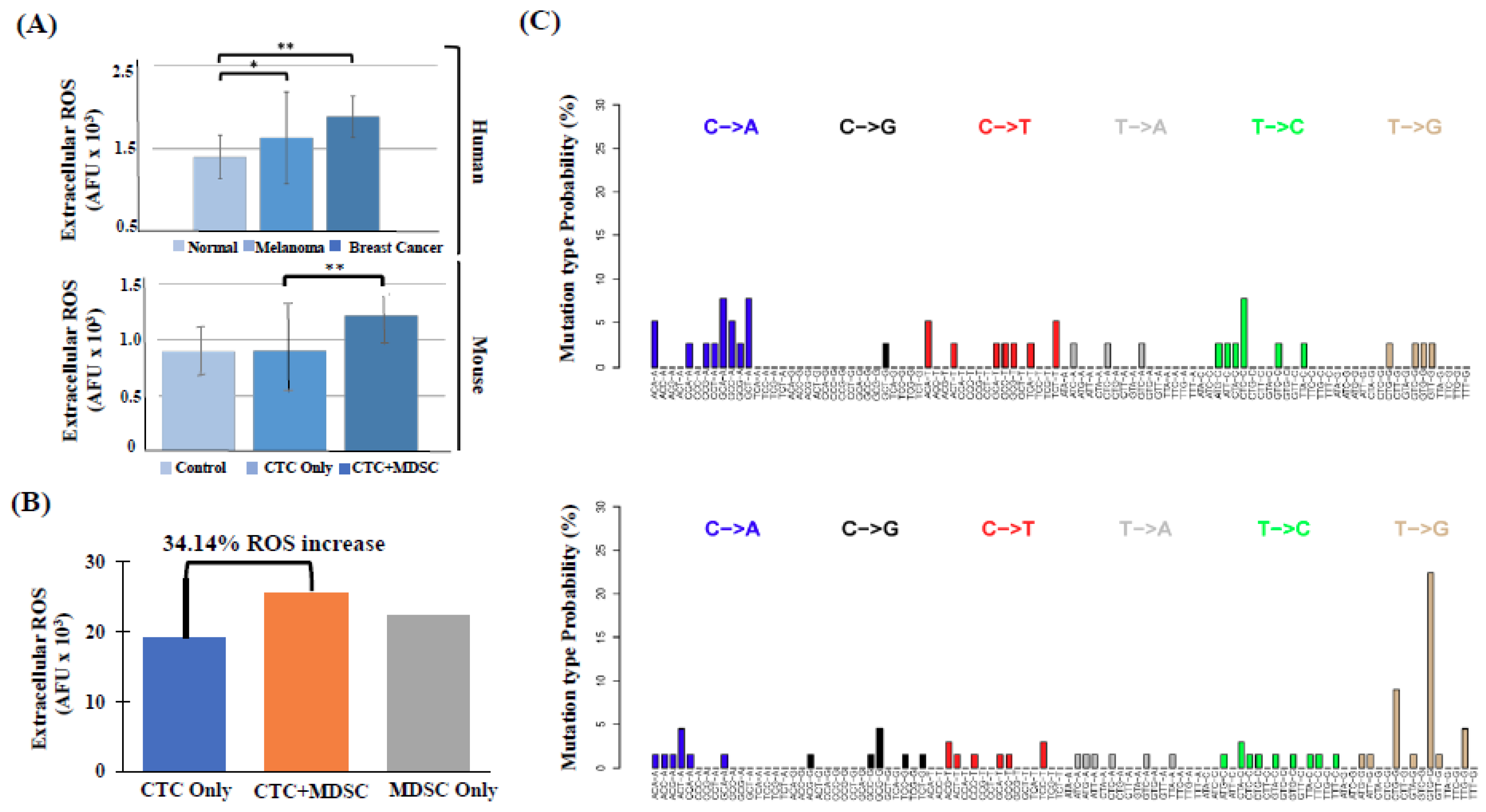 Ijms 20 01916 g005 Ijms 20 01916 g005