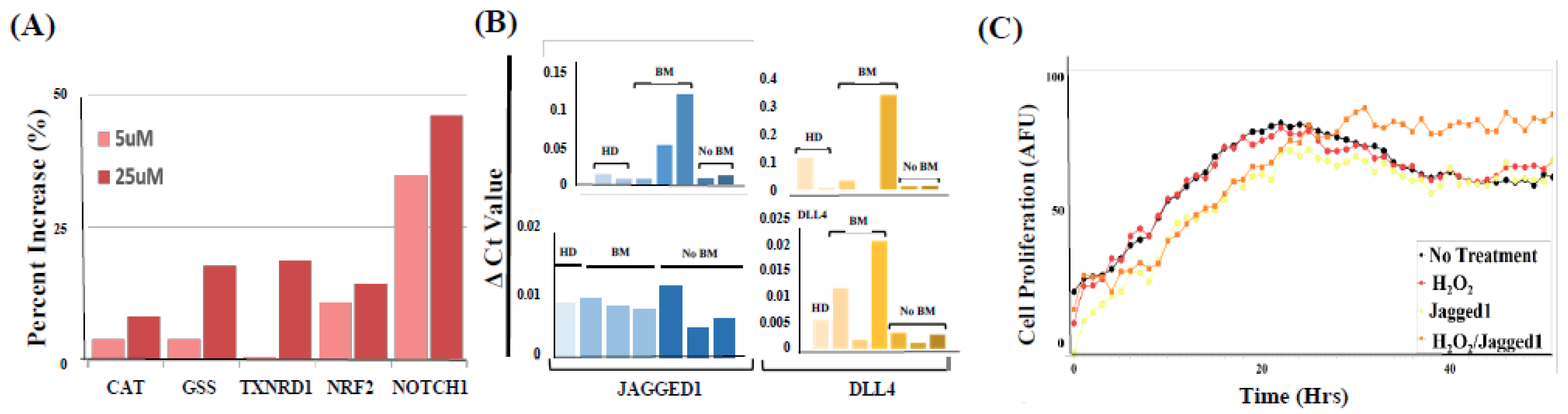 Ijms 20 01916 g007 Ijms 20 01916 g007