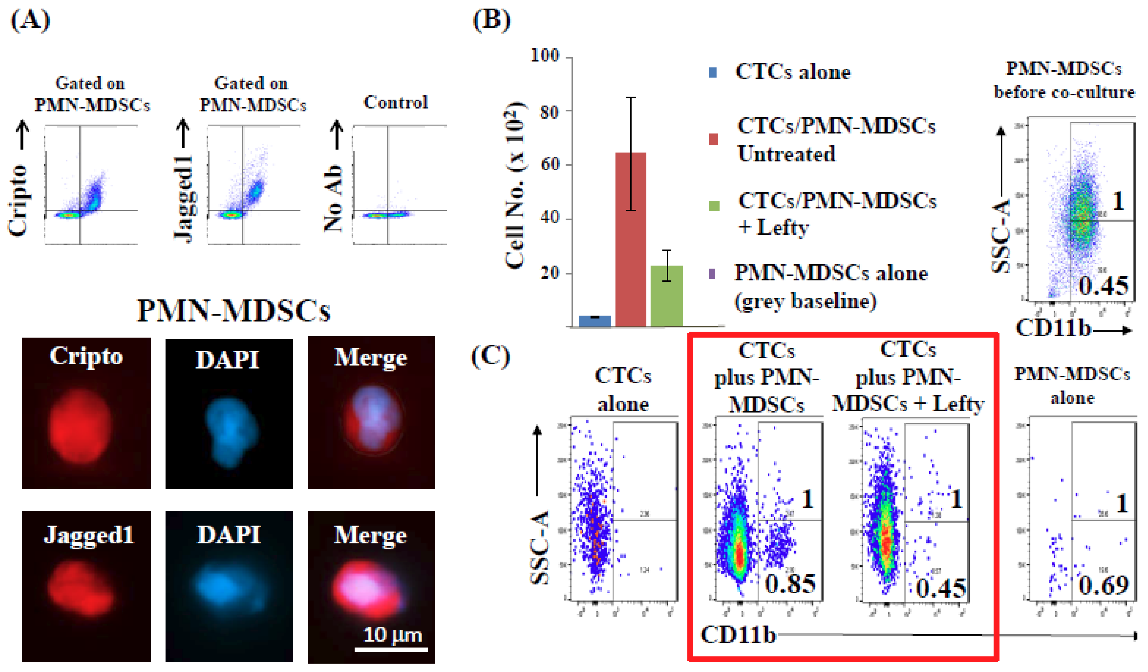 Ijms 20 01916 g009 Ijms 20 01916 g009