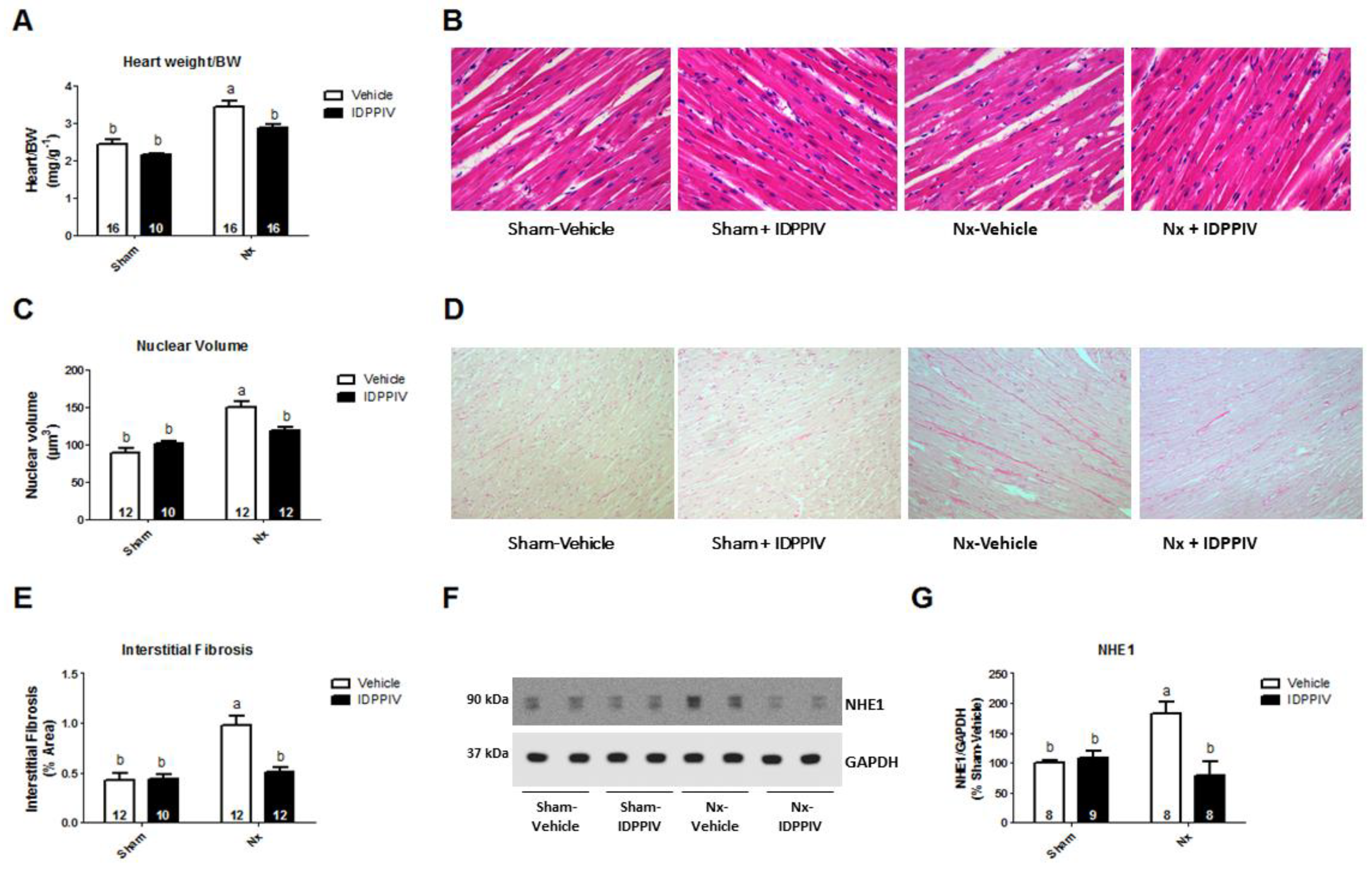 Ijms 20 01940 g002 Ijms 20 01940 g002