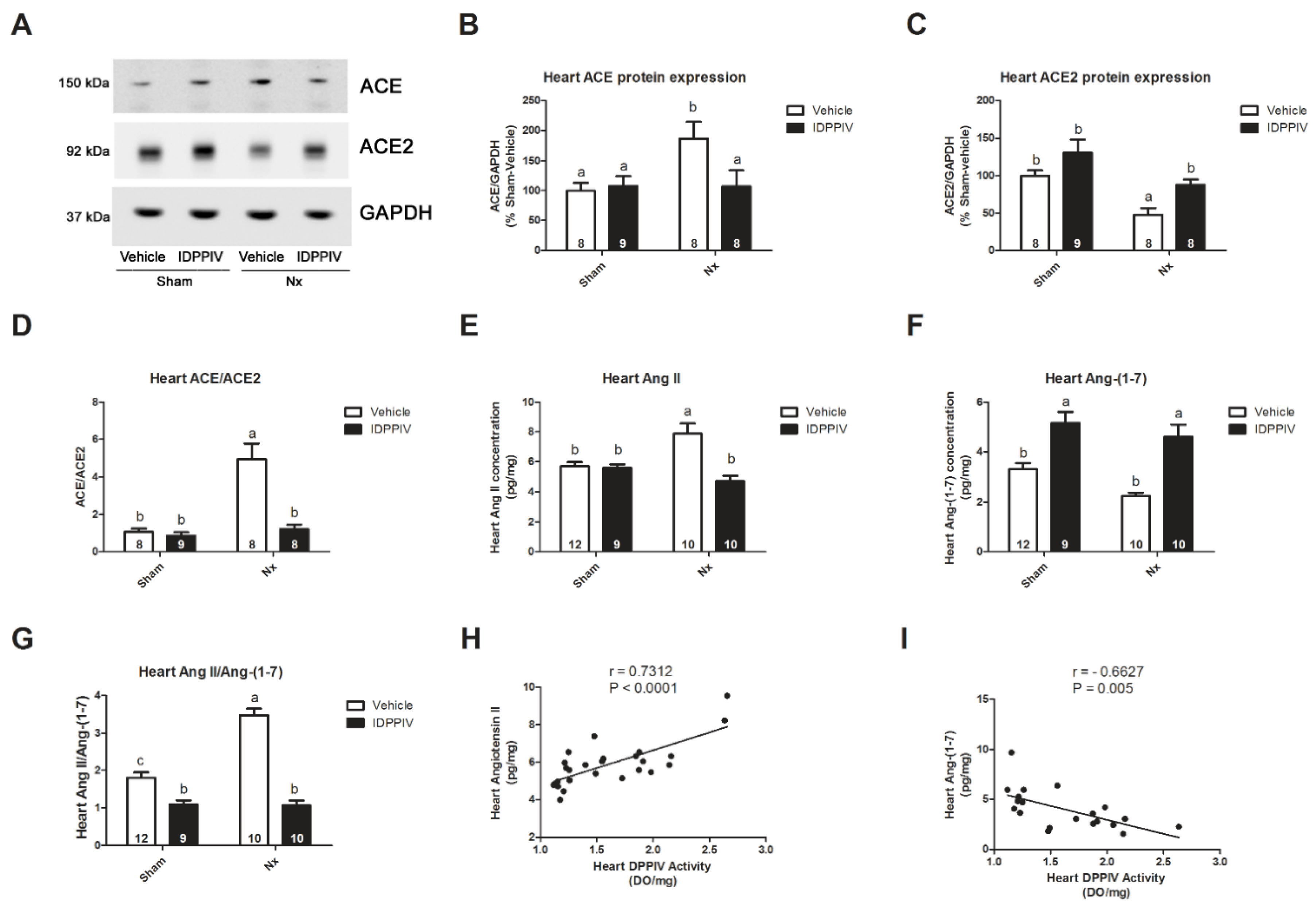 Ijms 20 01940 g005 Ijms 20 01940 g005