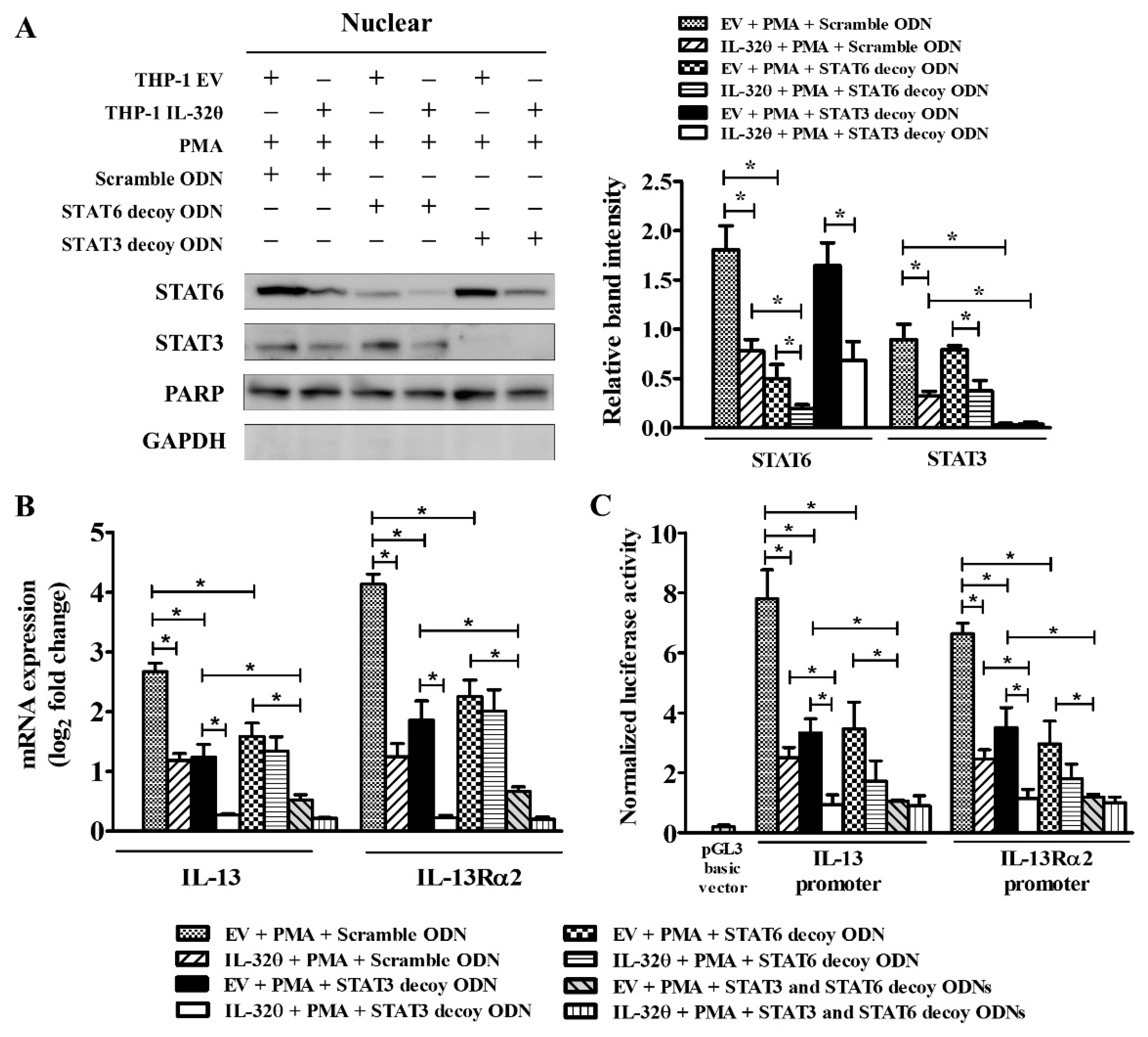 Ijms Free Full Text Inhibition Of Il 13 And Il 13ra2