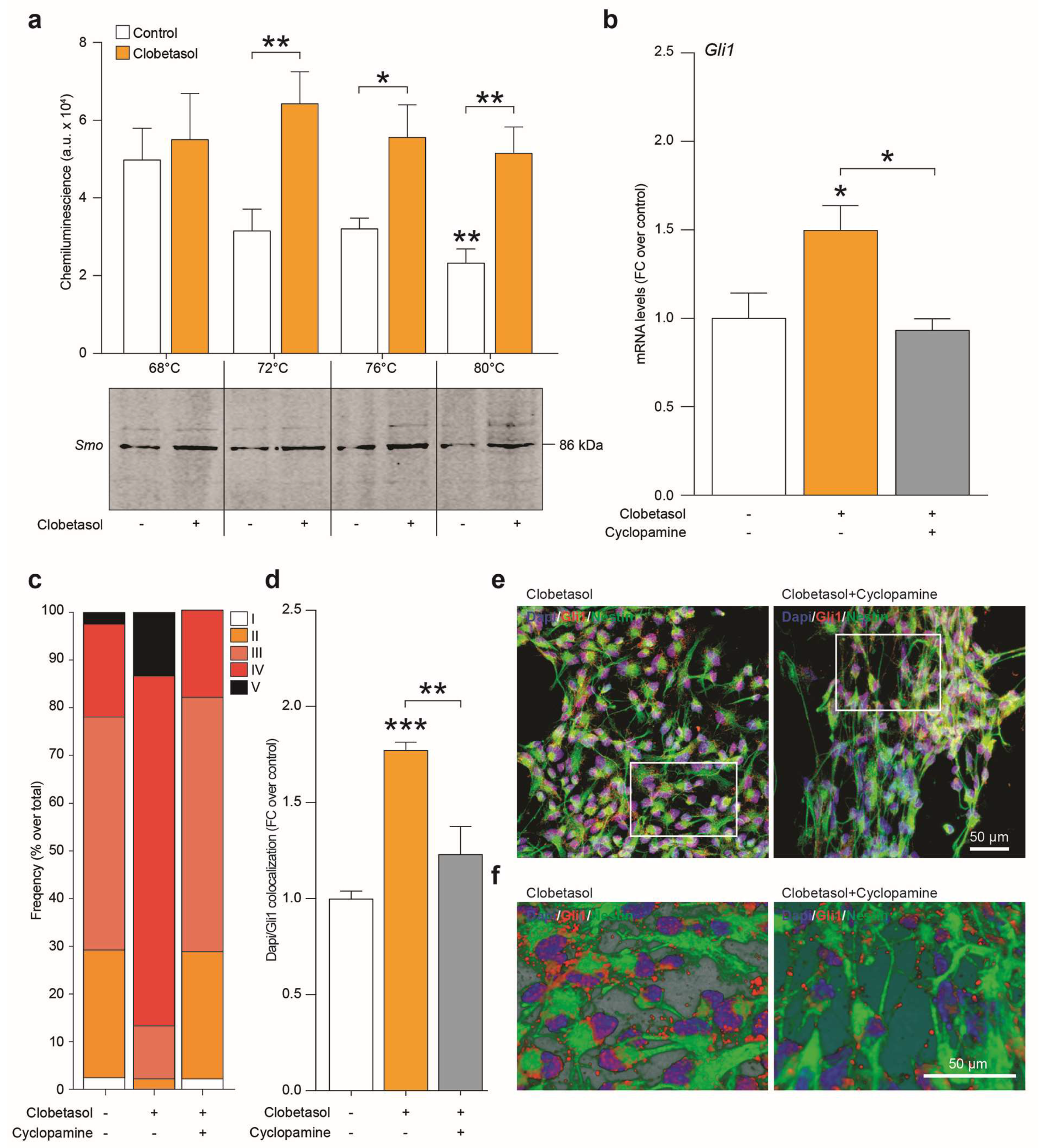 Ijms 20 01991 g006 Ijms 20 01991 g006