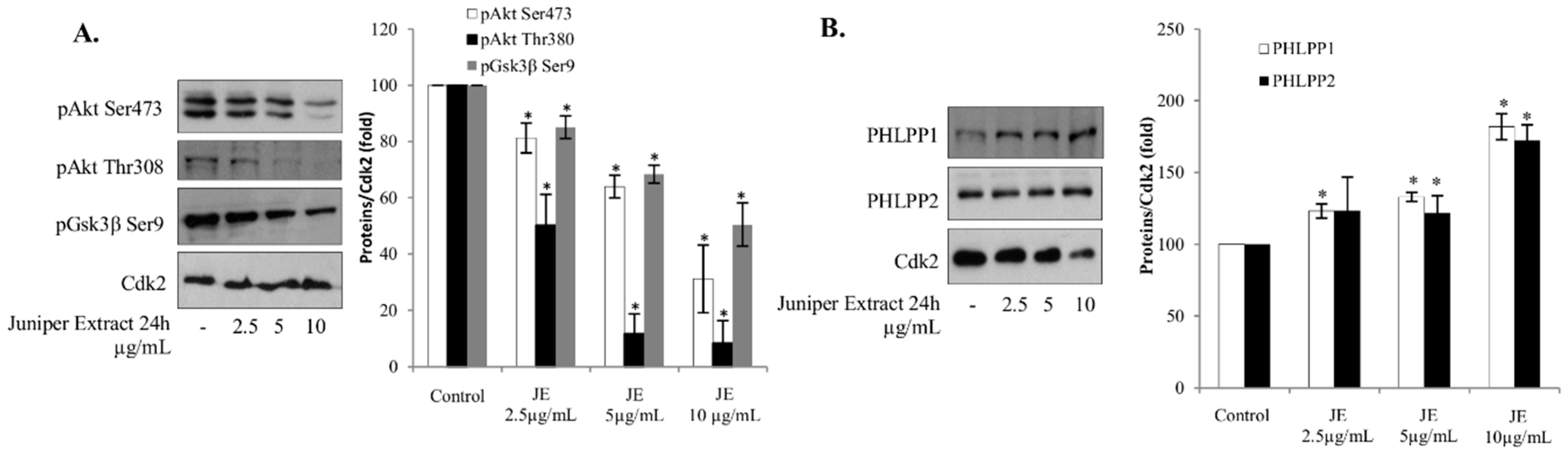 Ijms 20 02054 g002 Ijms 20 02054 g002