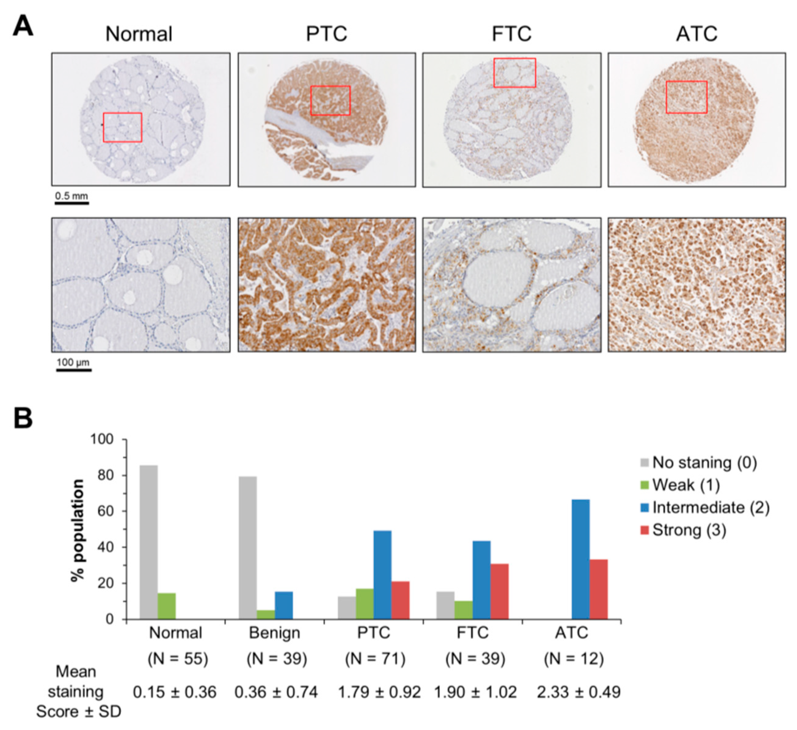 Ijms 20 02069 g001 Ijms 20 02069 g001