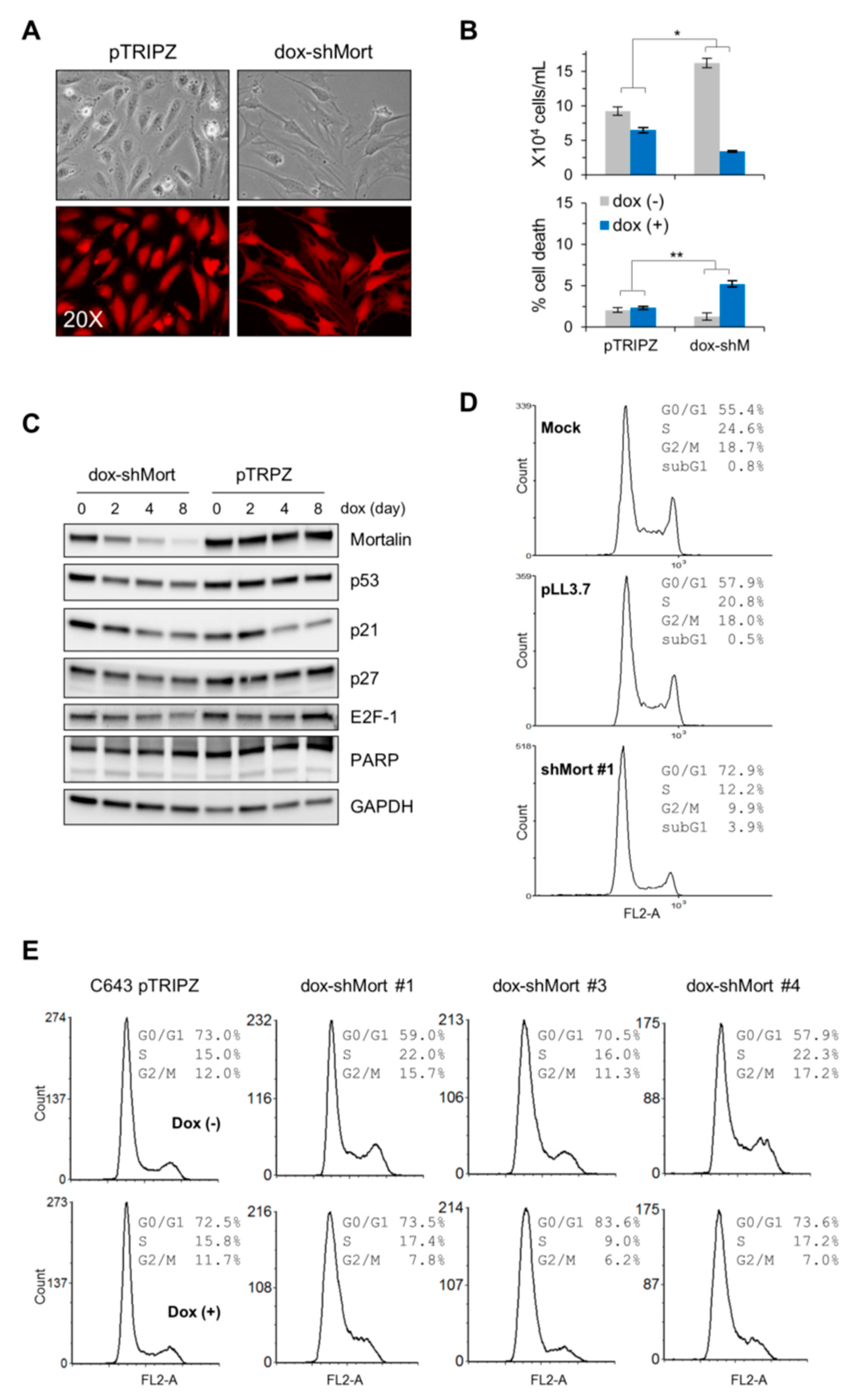 Ijms 20 02069 g003 Ijms 20 02069 g003
