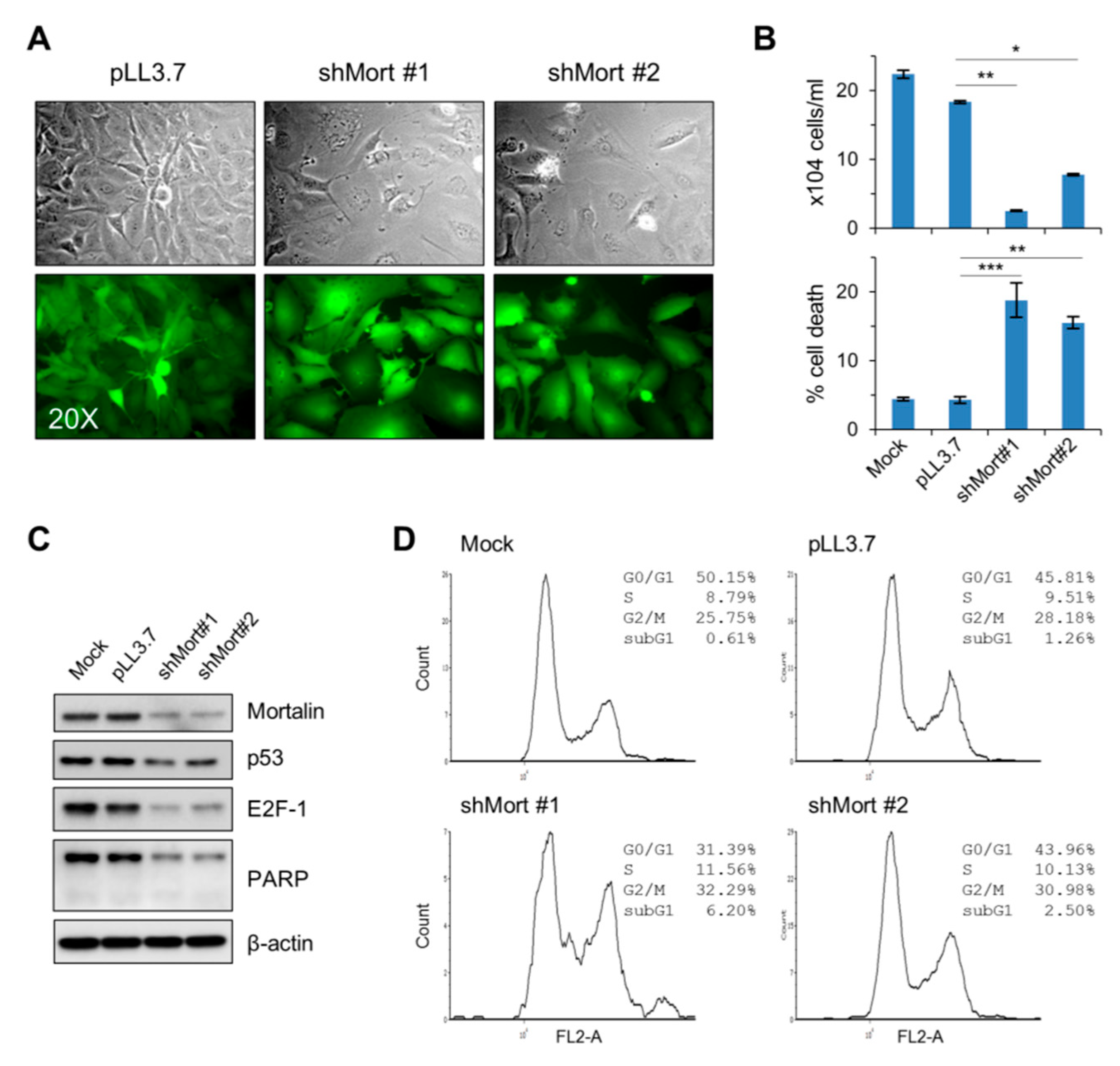 Ijms 20 02069 g005 Ijms 20 02069 g005