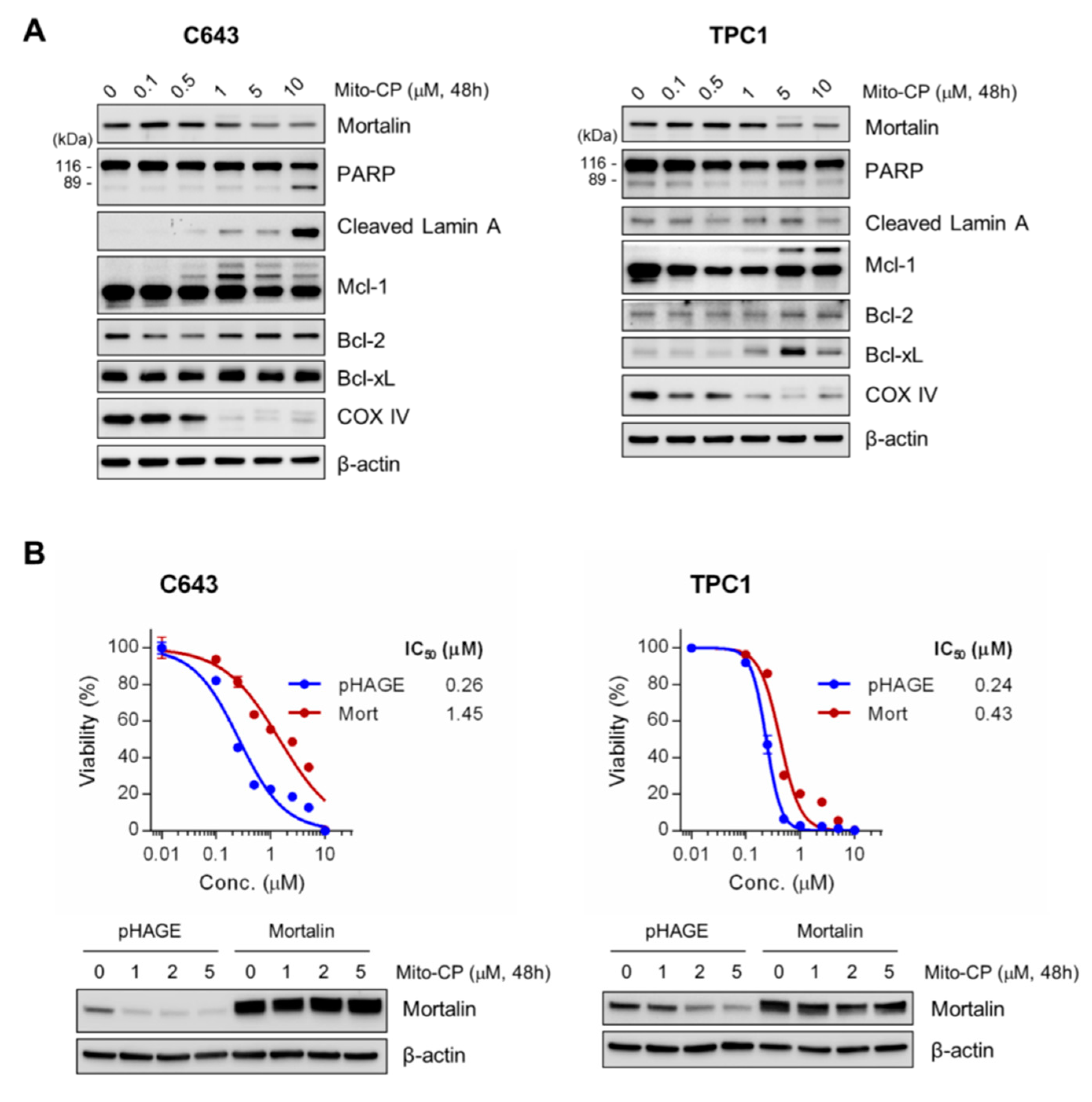 Ijms 20 02069 g007 Ijms 20 02069 g007