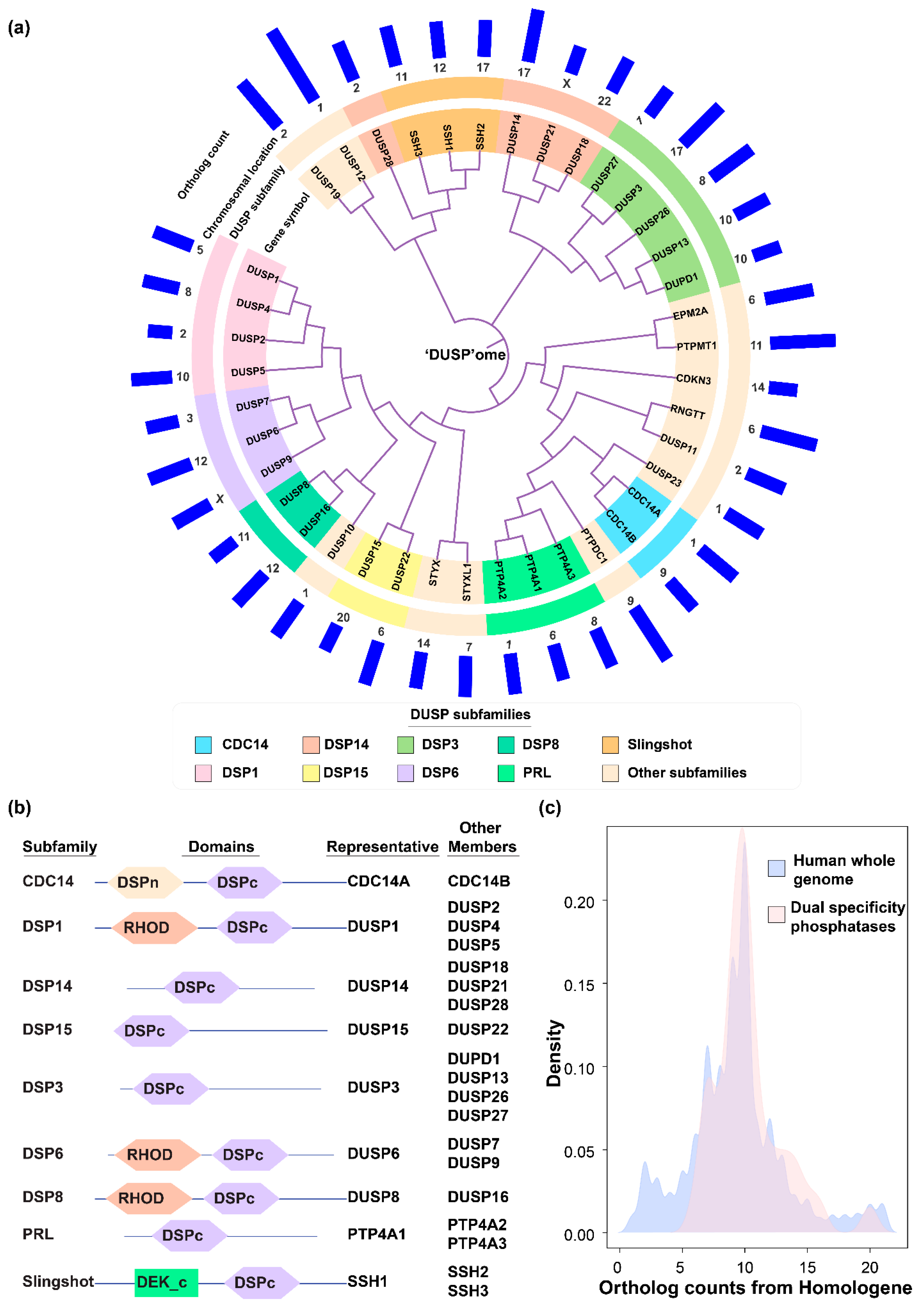 Ijms 20 02086 g001 Ijms 20 02086 g001