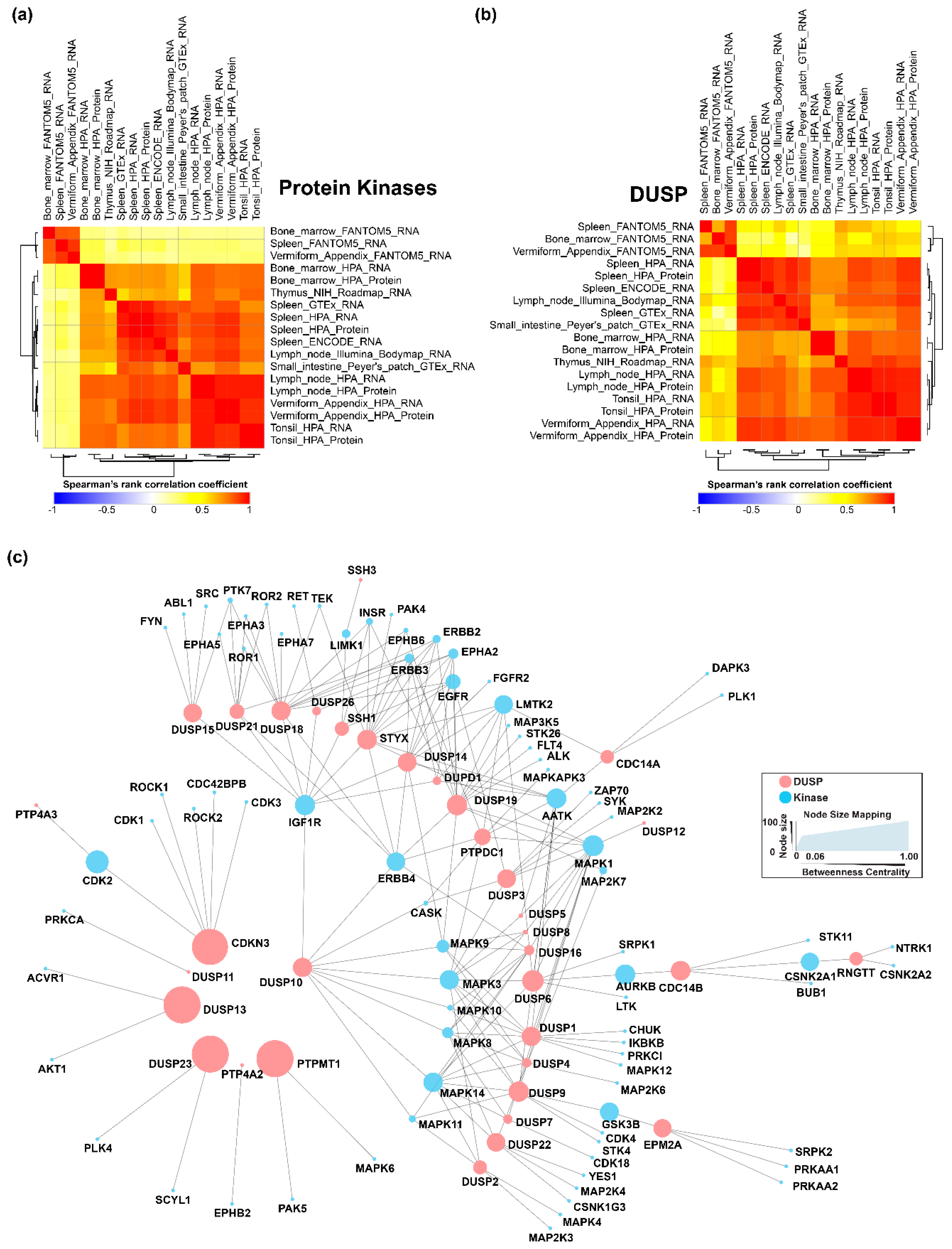 Ijms 20 02086 g003 Ijms 20 02086 g003