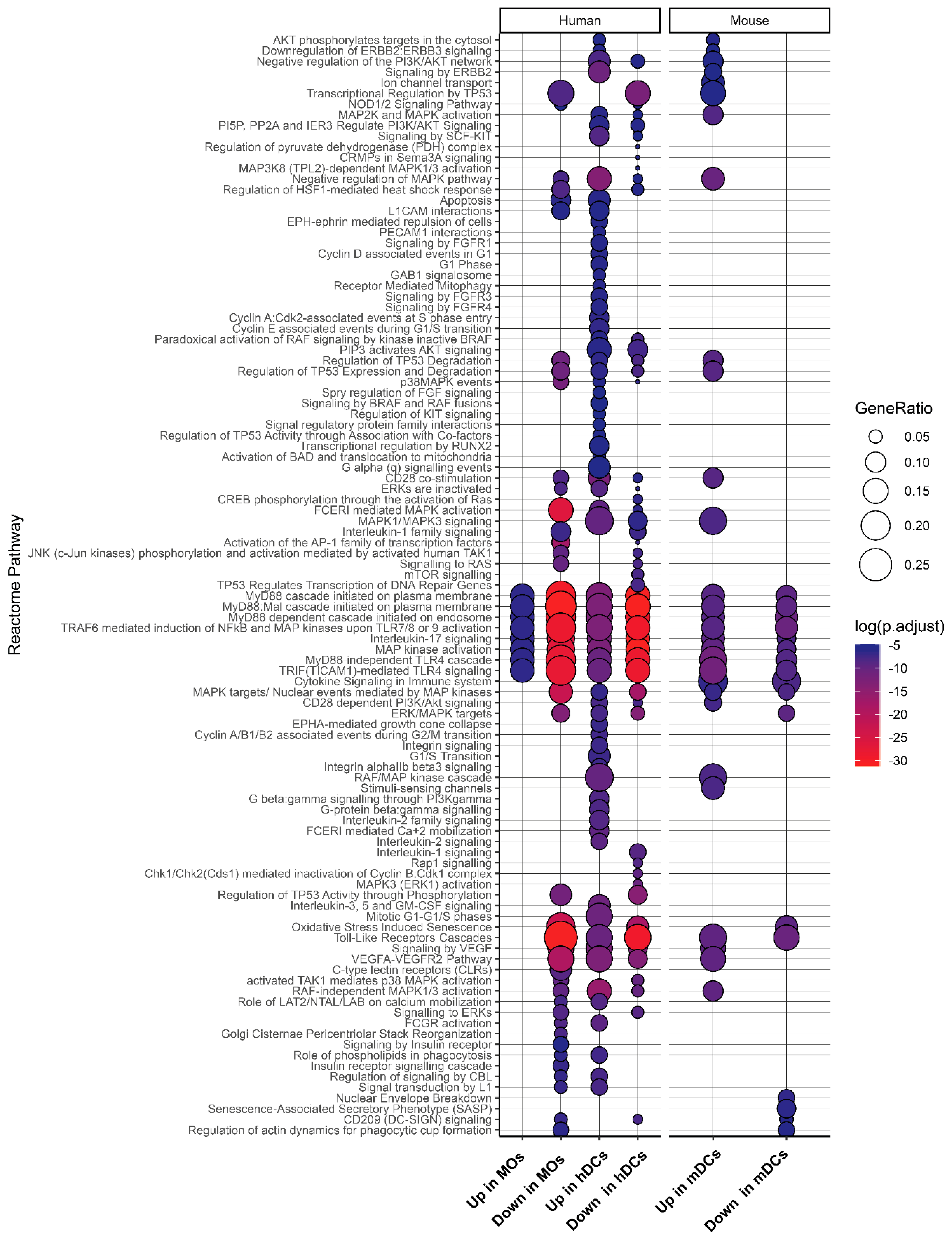 Ijms 20 02086 g005 Ijms 20 02086 g005