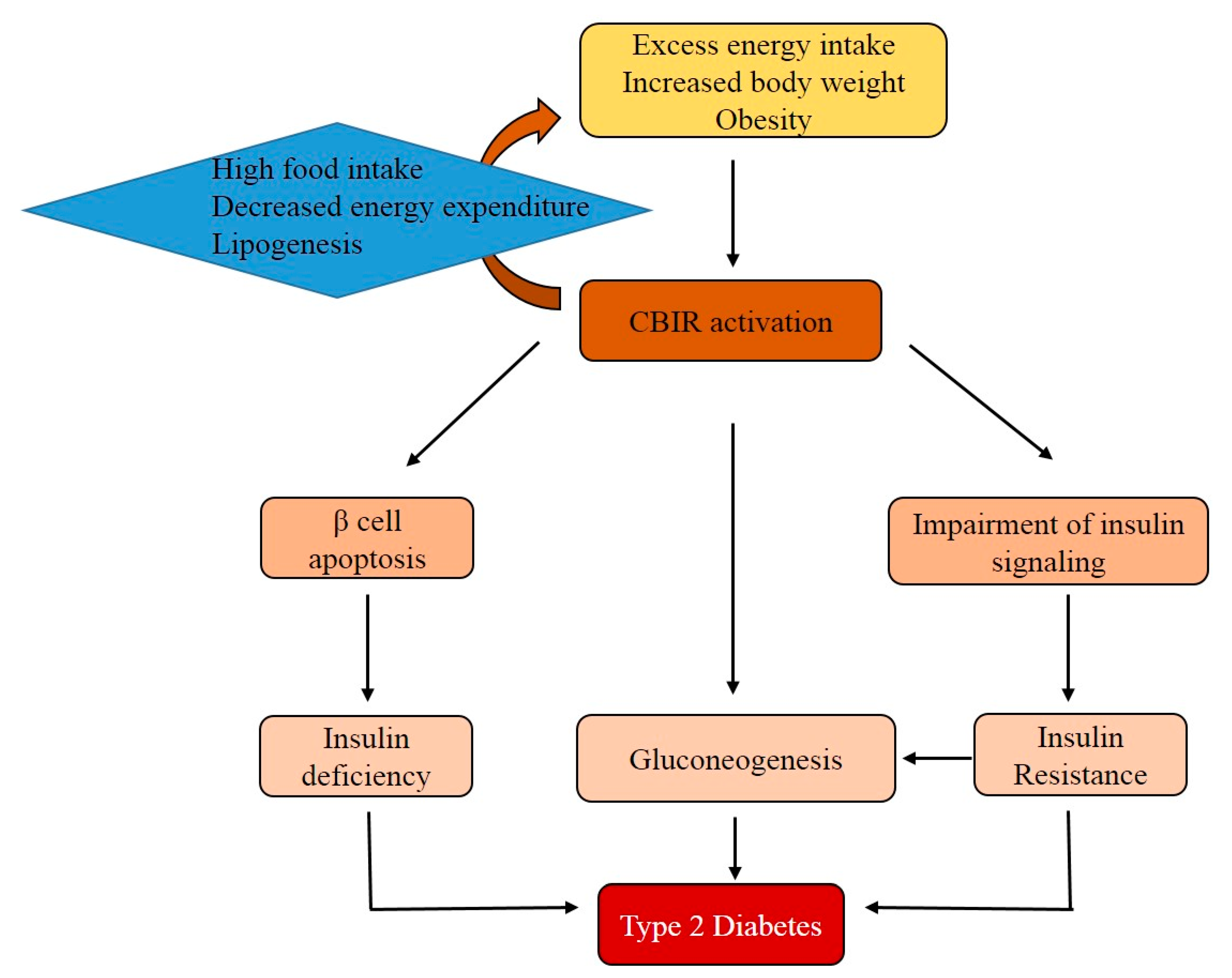 Ijms 20 02109 g004 Ijms 20 02109 g004
