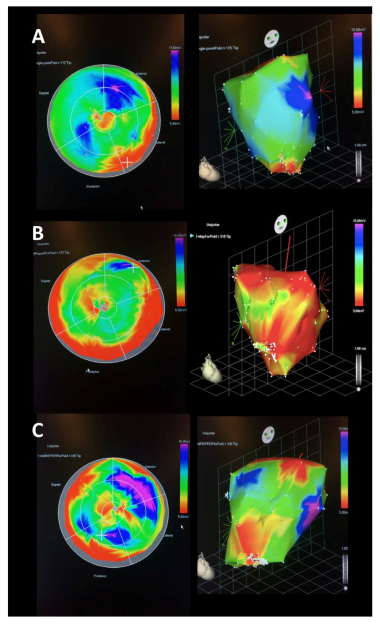 Ijms 20 02140 g003 Ijms 20 02140 g003