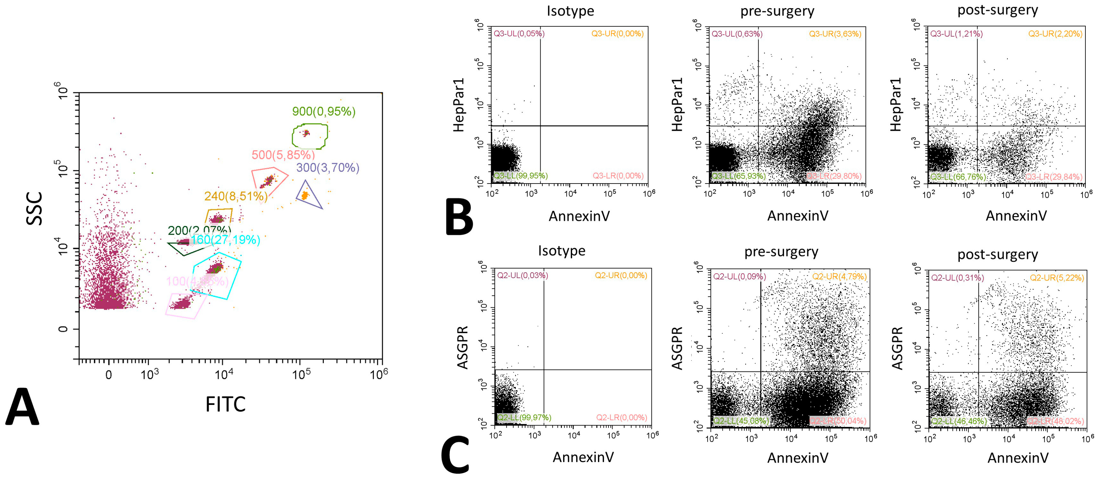 Ijms 20 02153 g005 Ijms 20 02153 g005