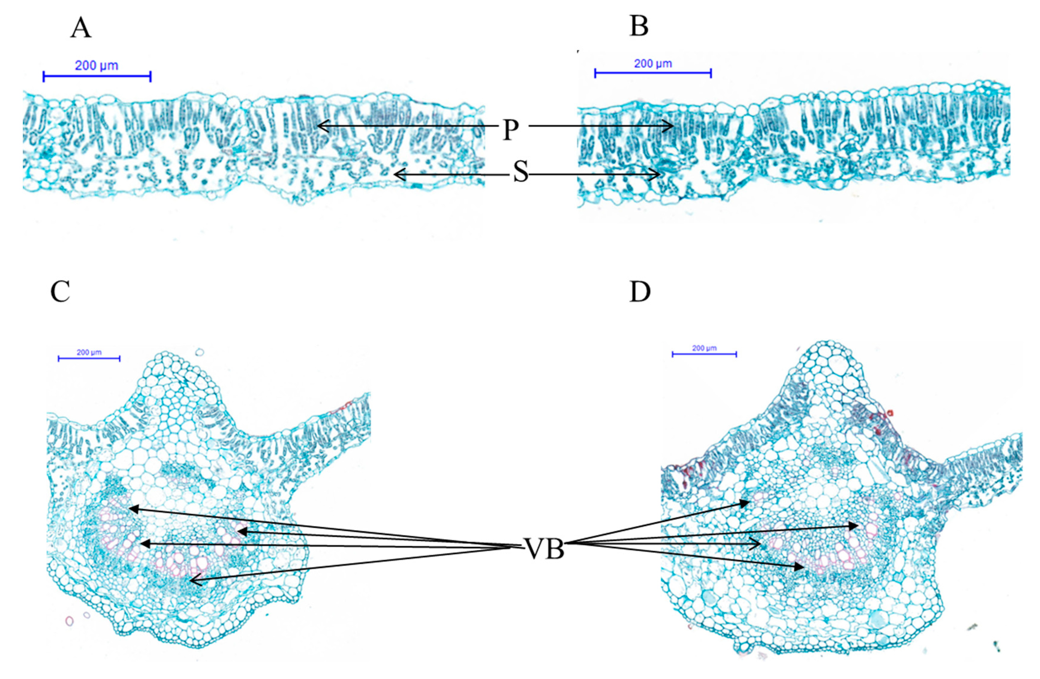 Ijms 20 02193 g003 Ijms 20 02193 g003